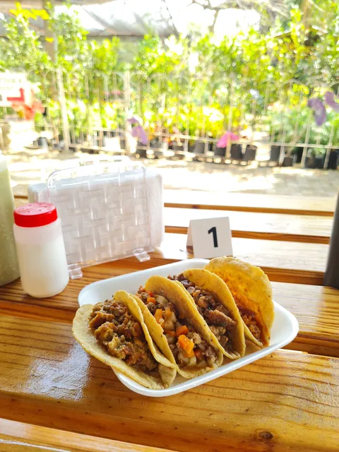 La Morita image 2