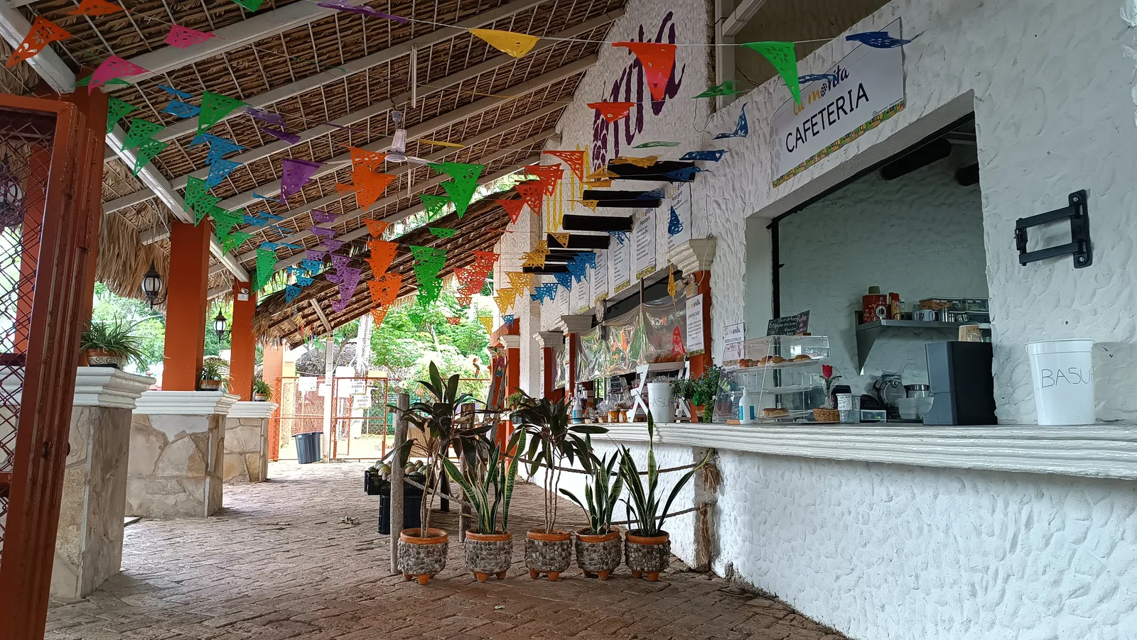 La Morita image 4