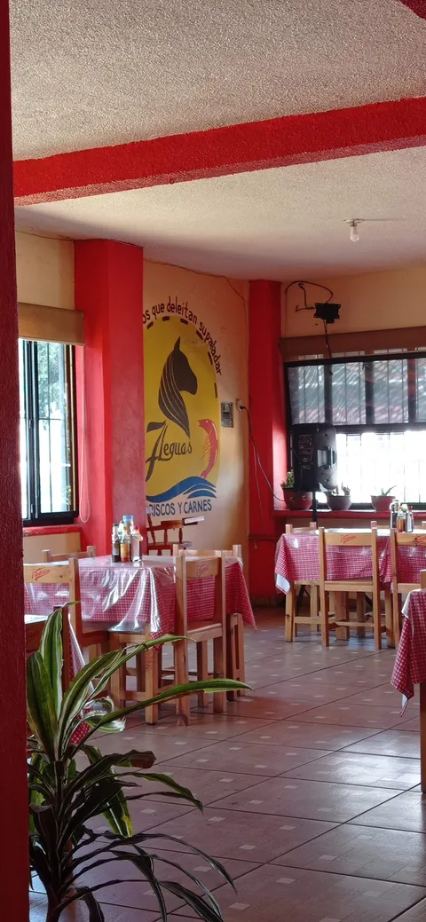 7 Leguas image 1