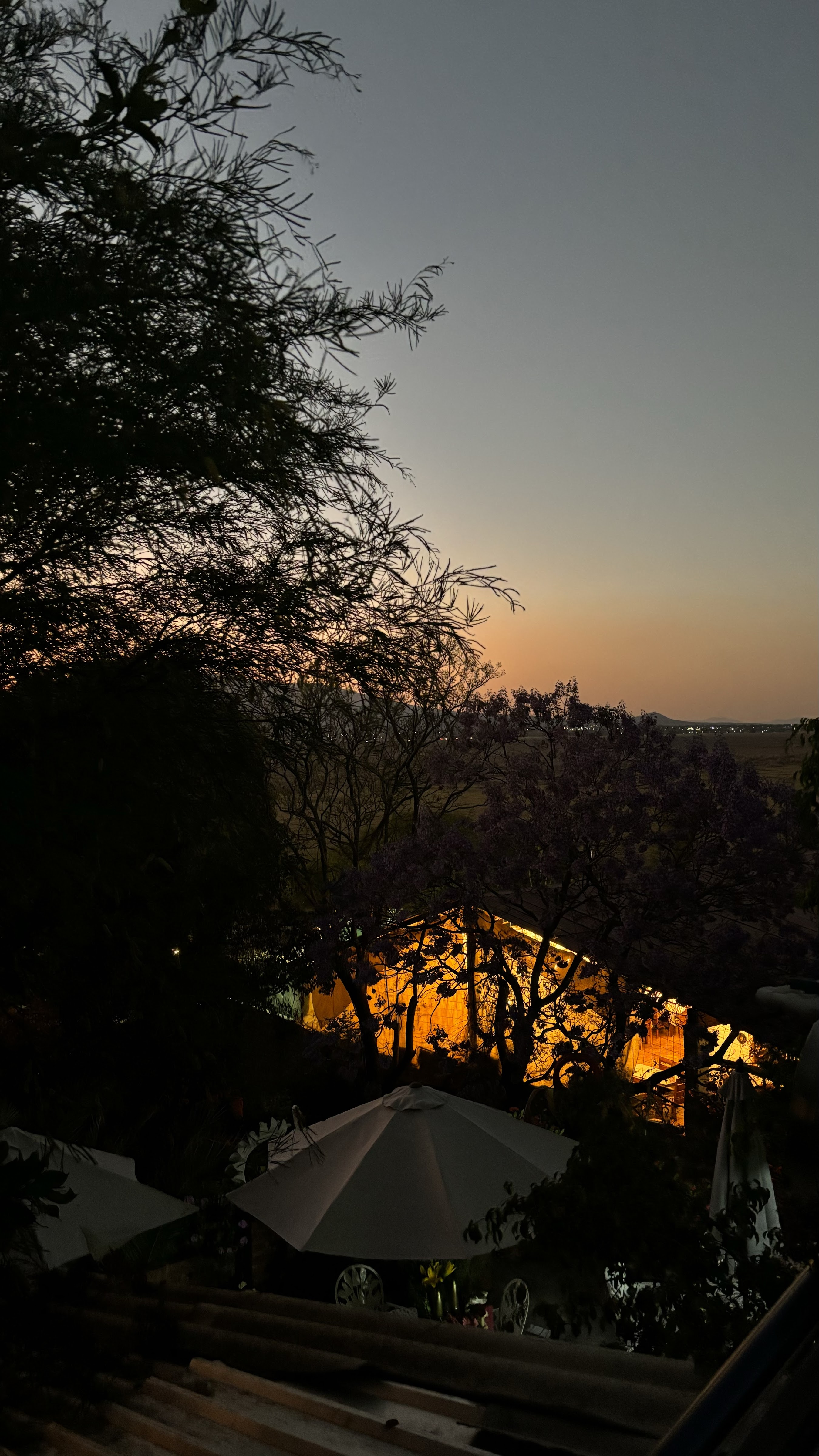 Restaurant La Palma image 6