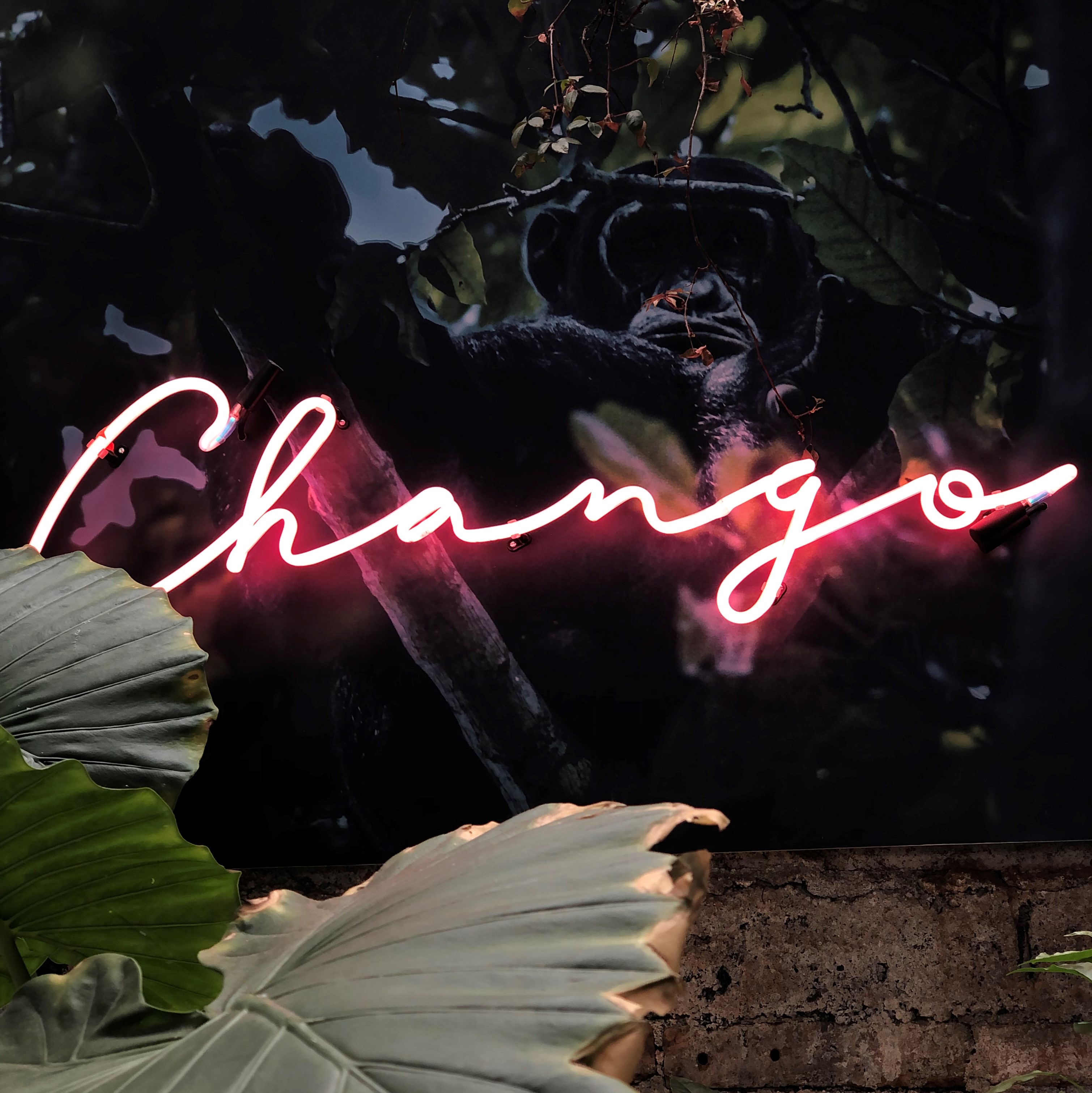 Chango Restaurante image 4