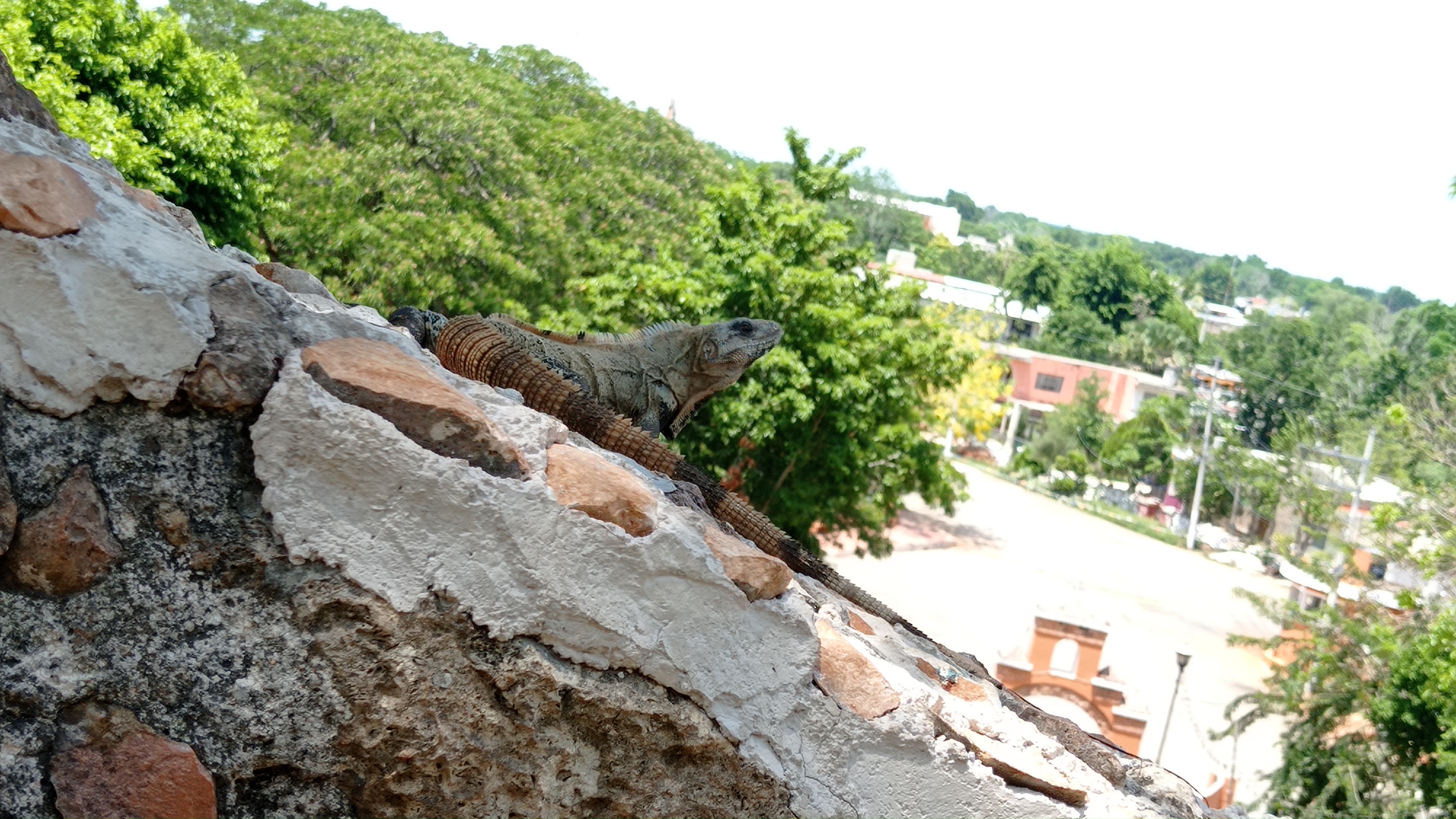Restaurante El Huinic image 9