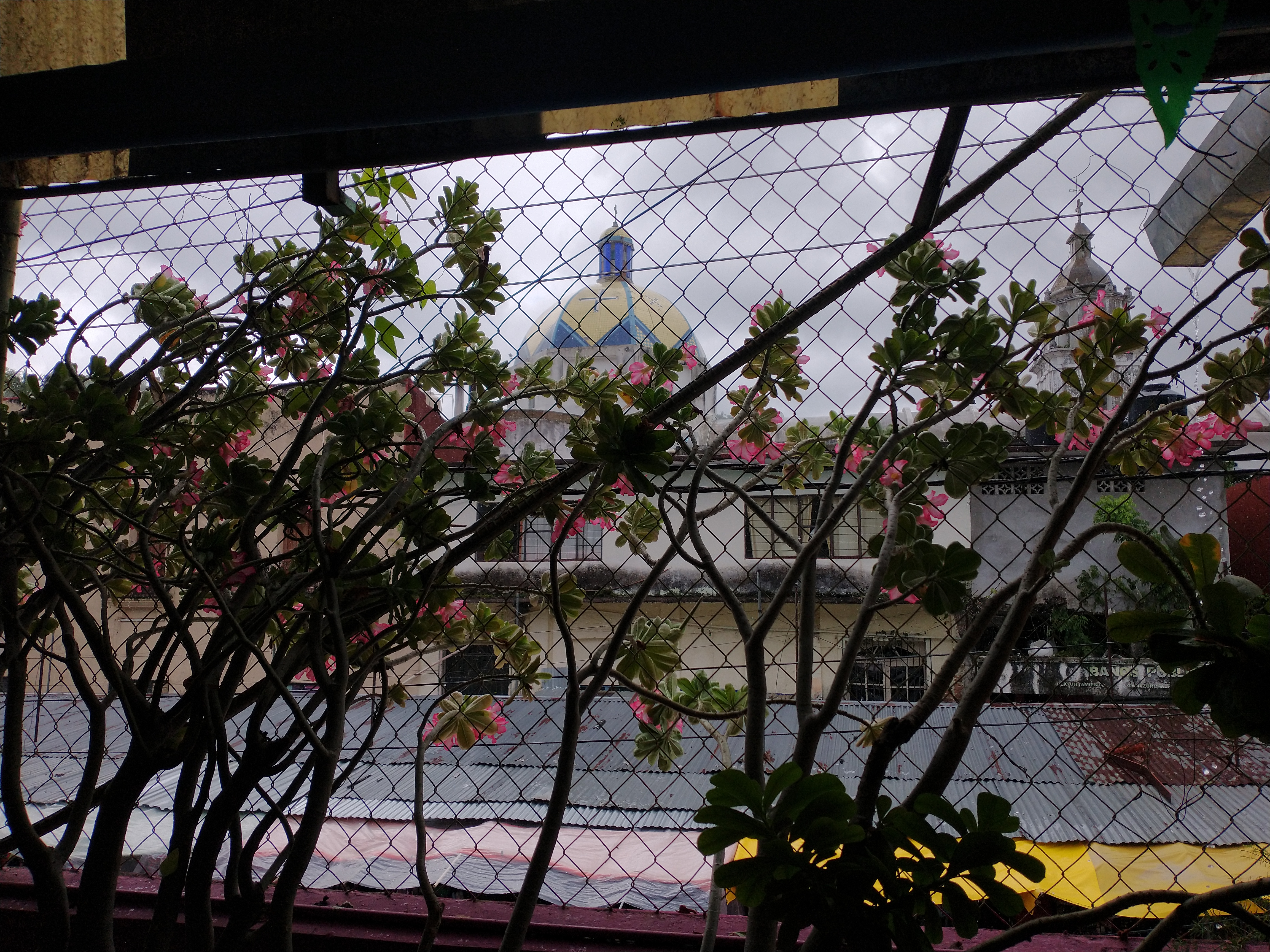 El Rinconcito image 4