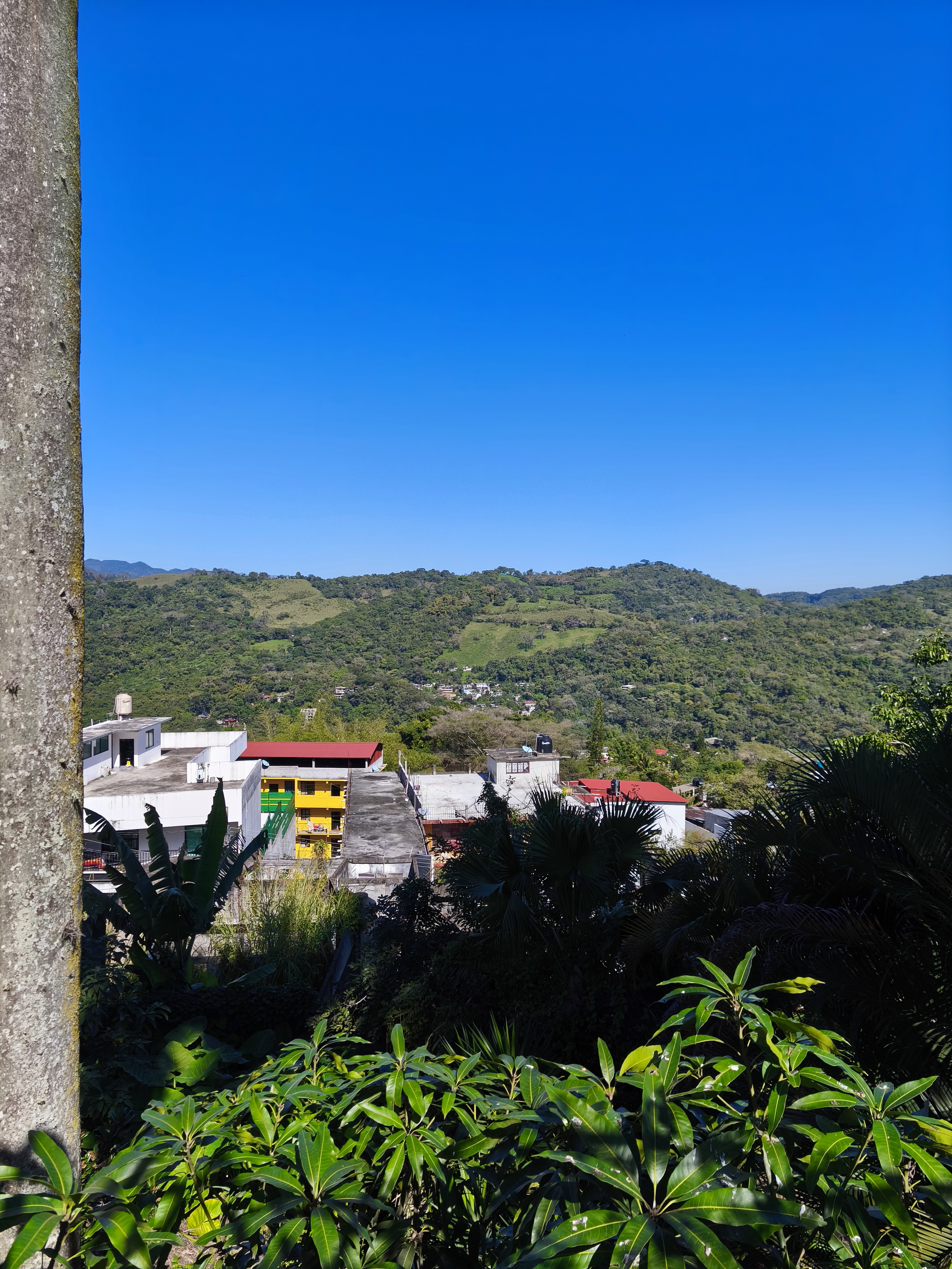 Reastaurante Cayo's image 3