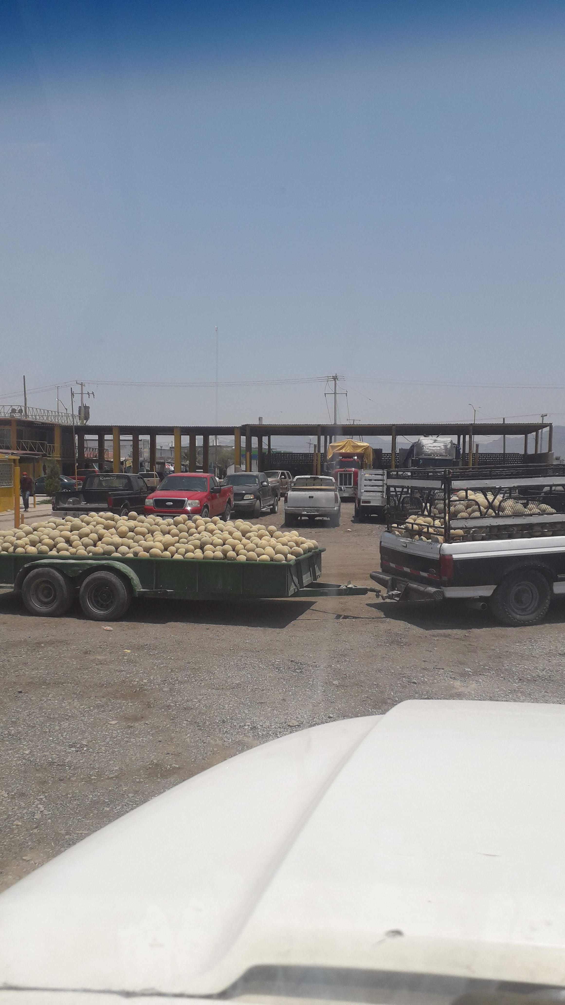 Bascula, Restaurante y Hotel Las Enramadas image 10