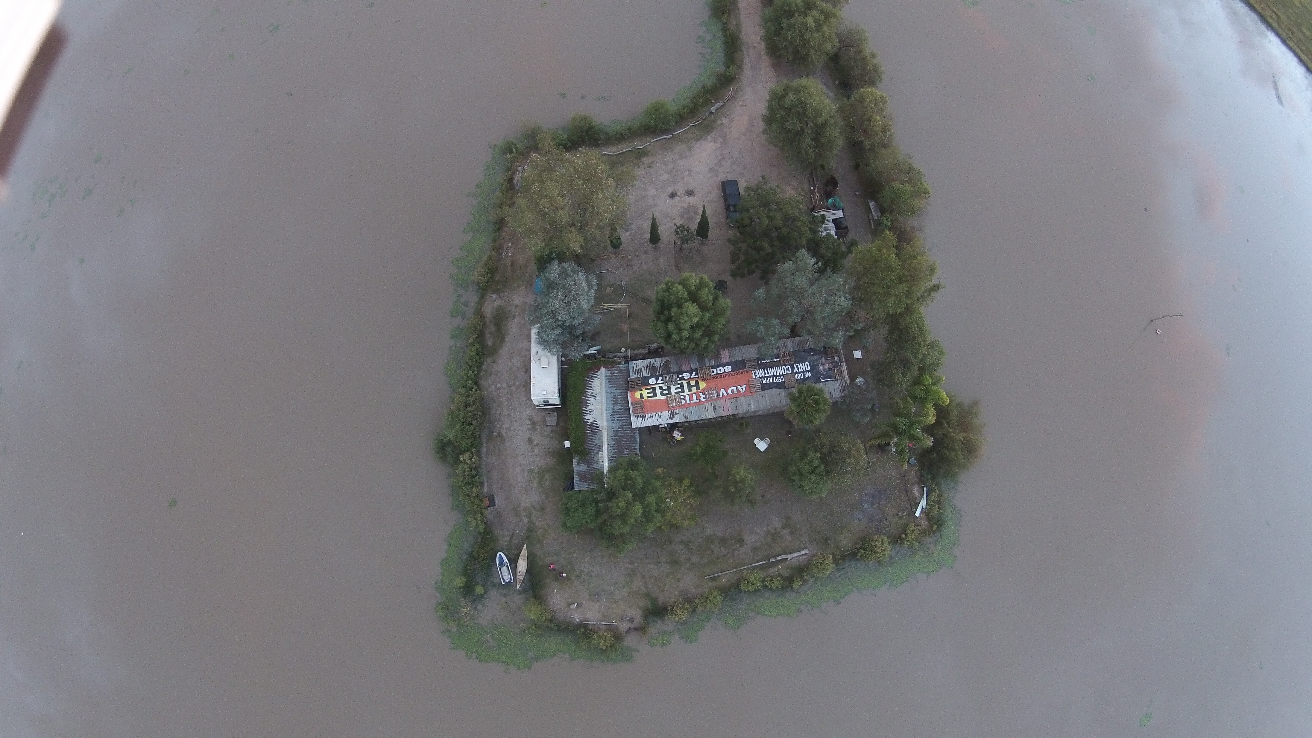 Isla De Los Cocos image 3