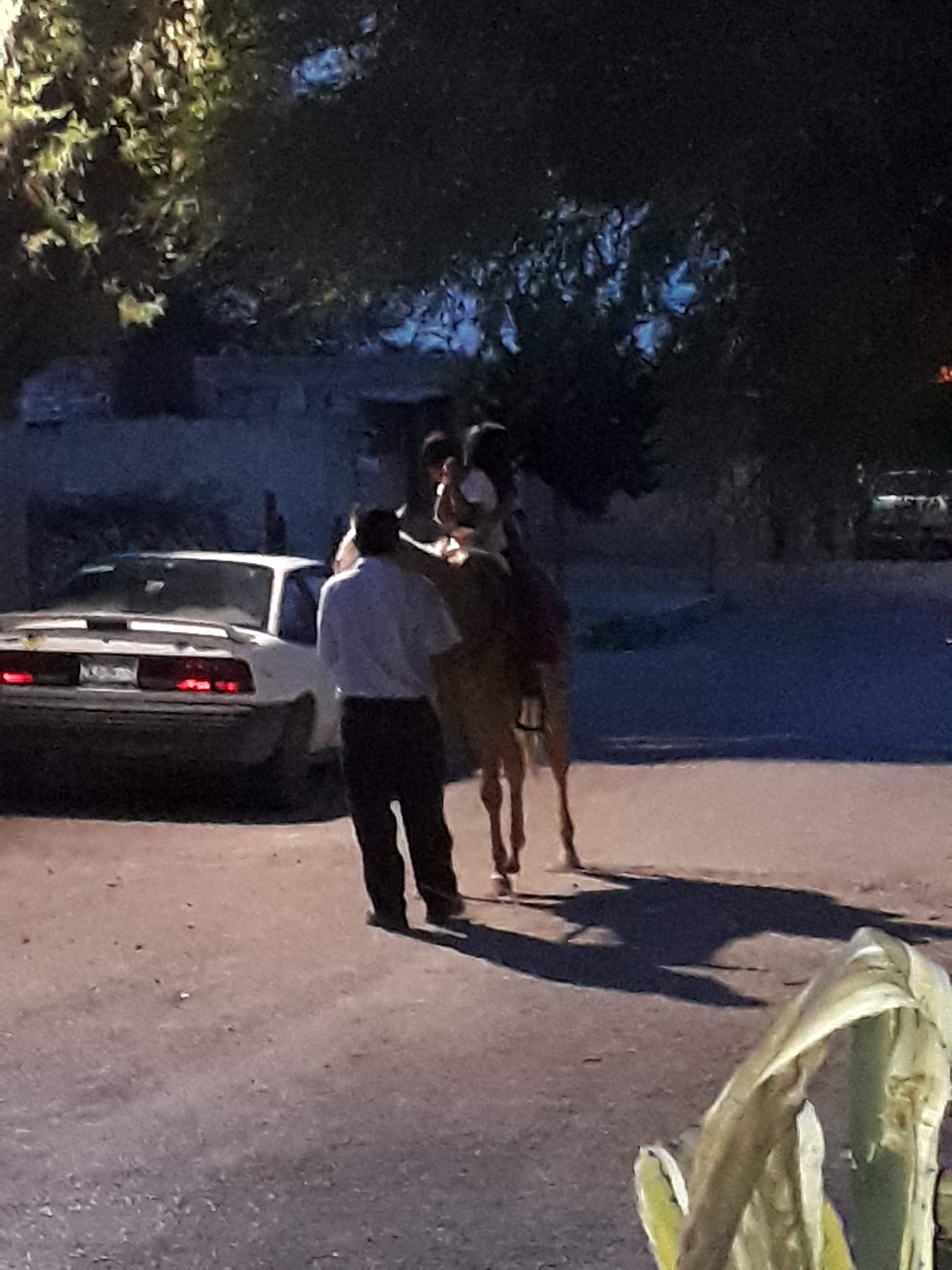 Restaurant "Estelita Y Laurita" image 9