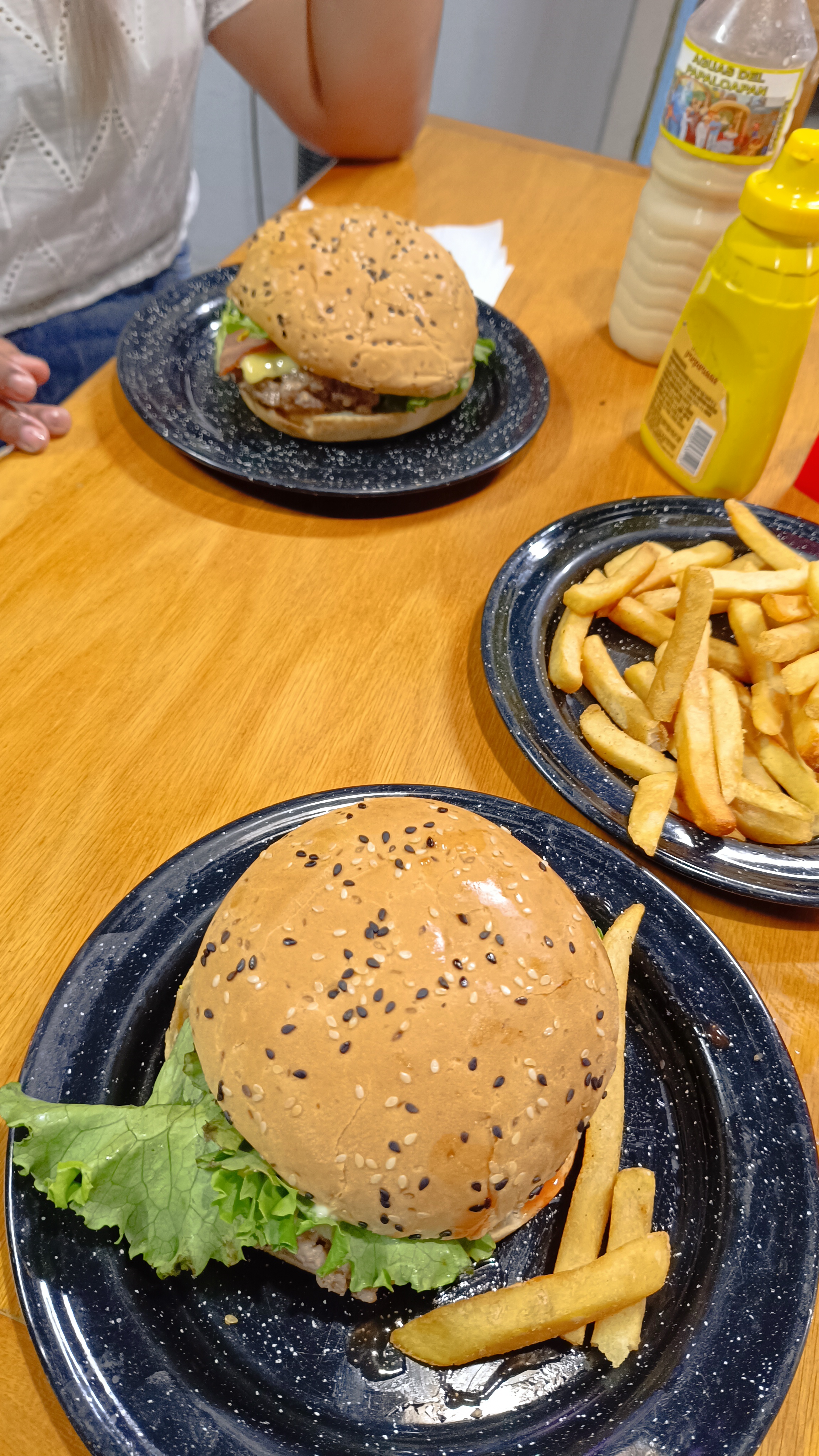 Toron Parrilla Nice image 2