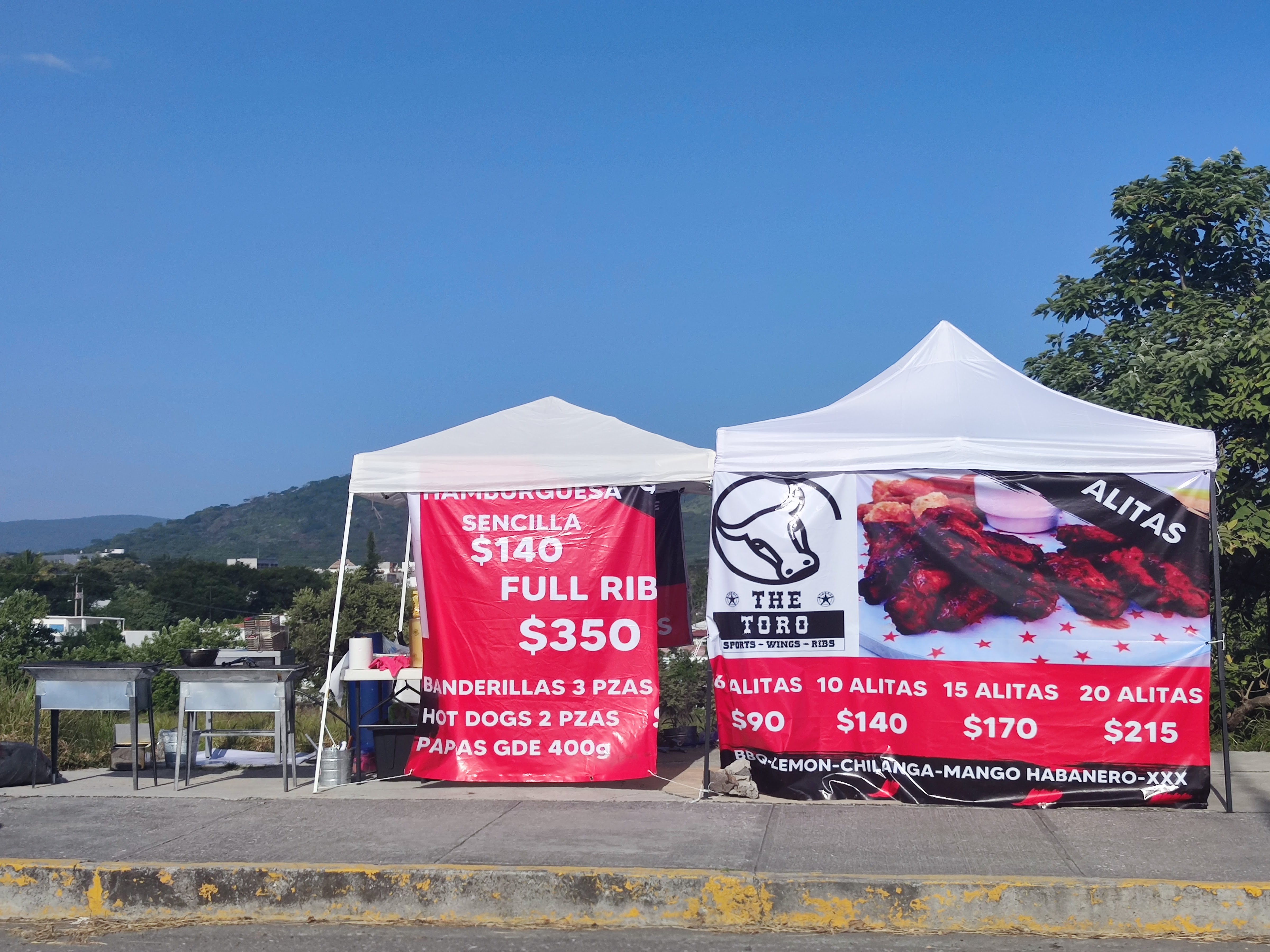 The Toro Xochitepec image 5