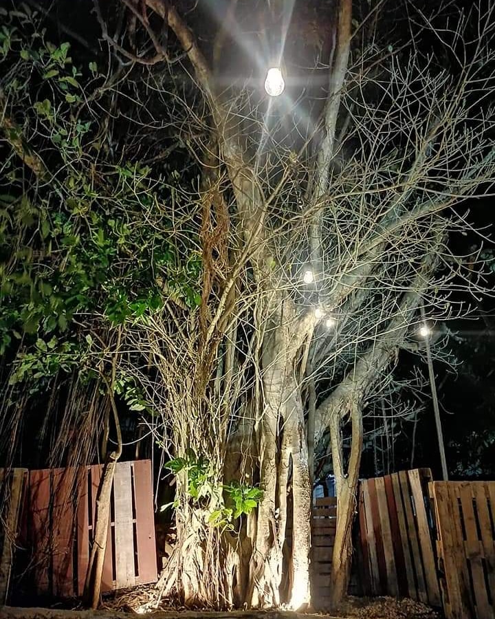 Restaurant Familiar MAYALAND image 3