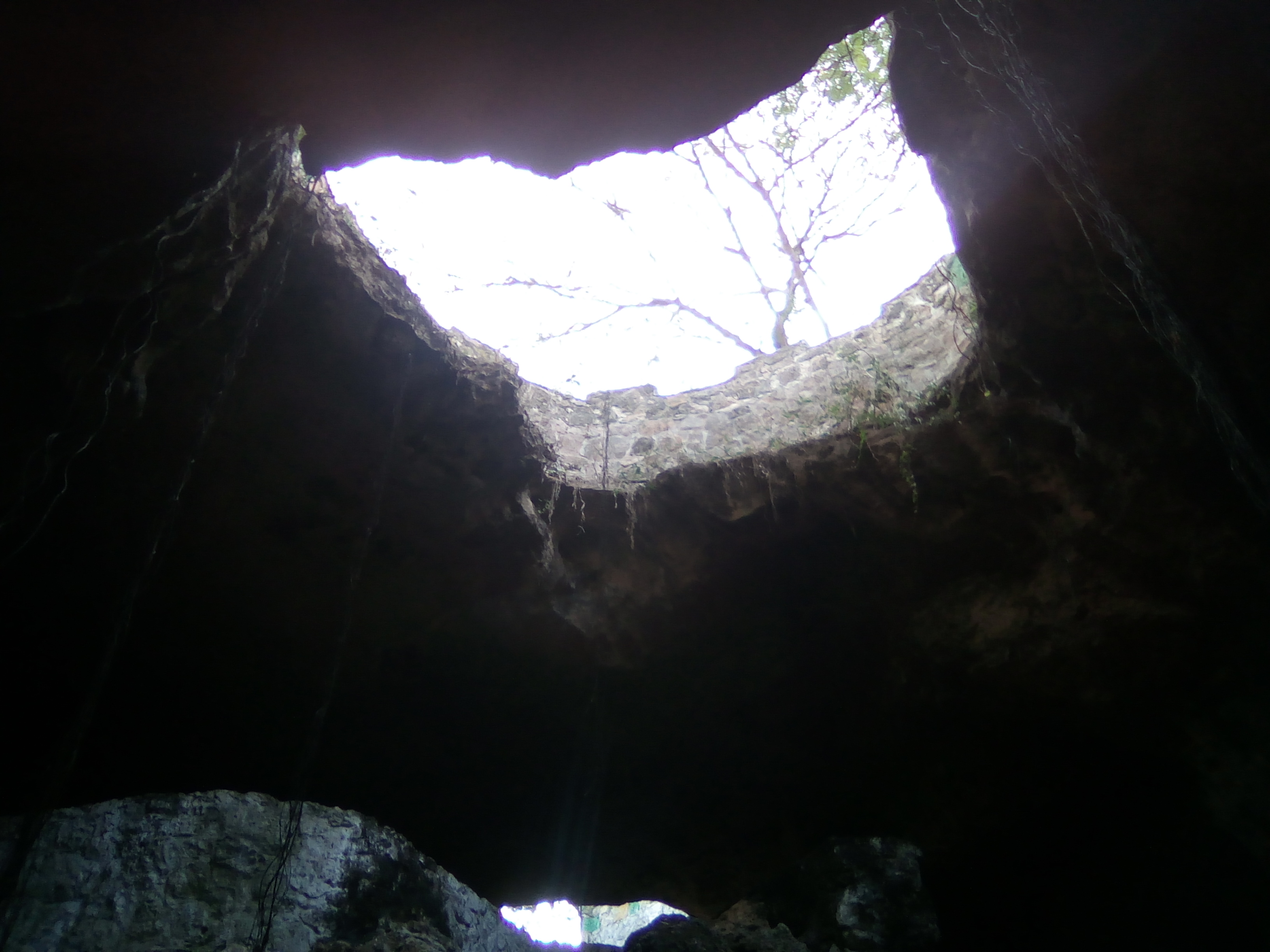 Pizzería Y Heladeria "Piter's" image 3