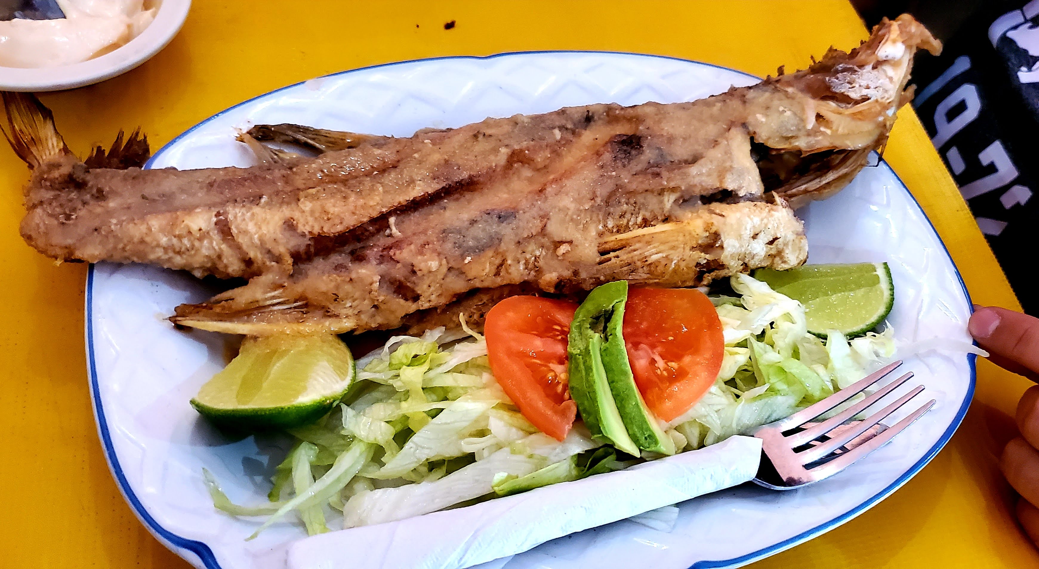 La choza de Lucy image 2