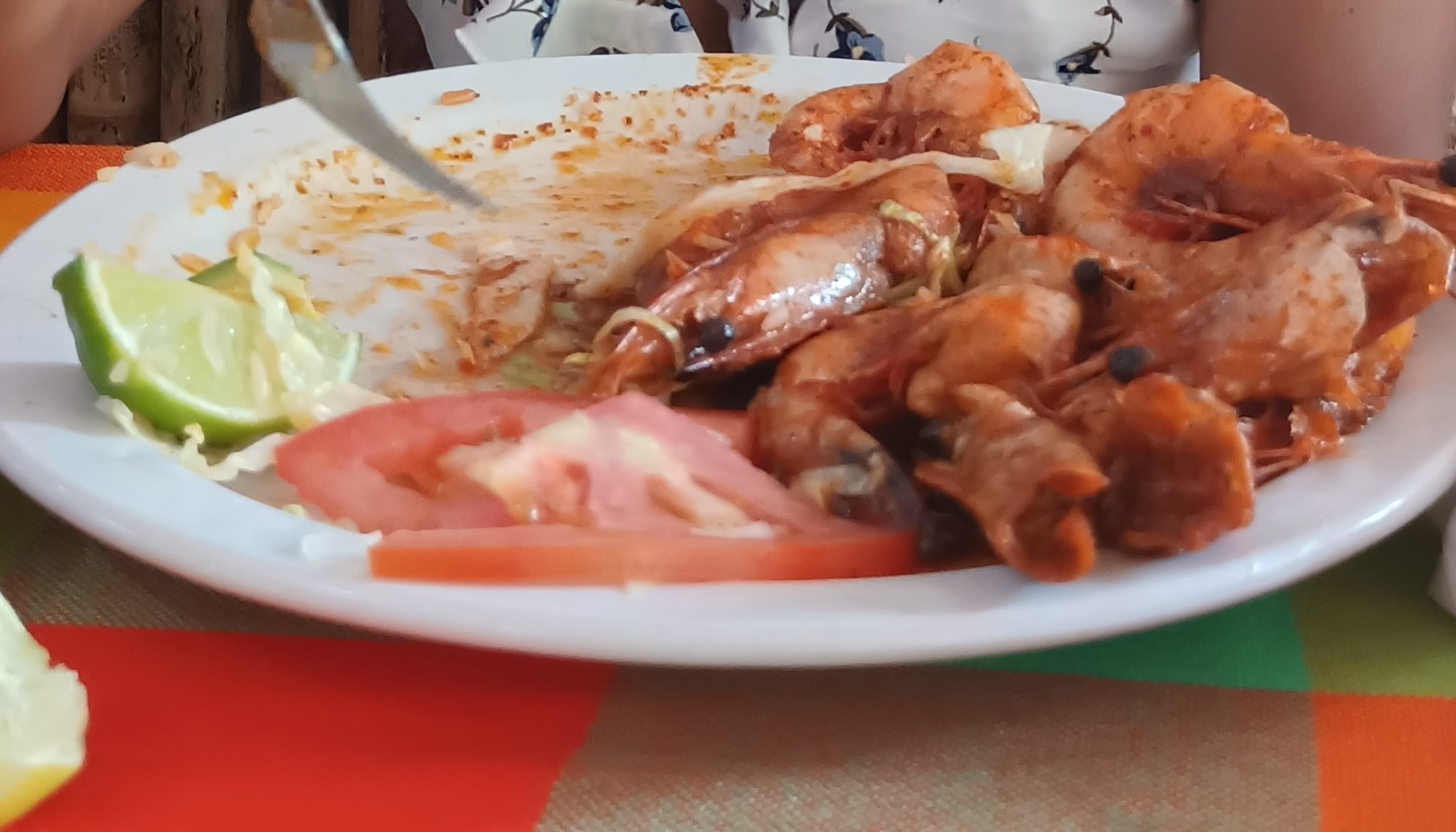 La choza de Lucy image 5