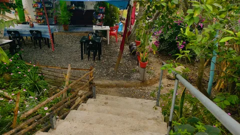 Rincón papanteco image 3
