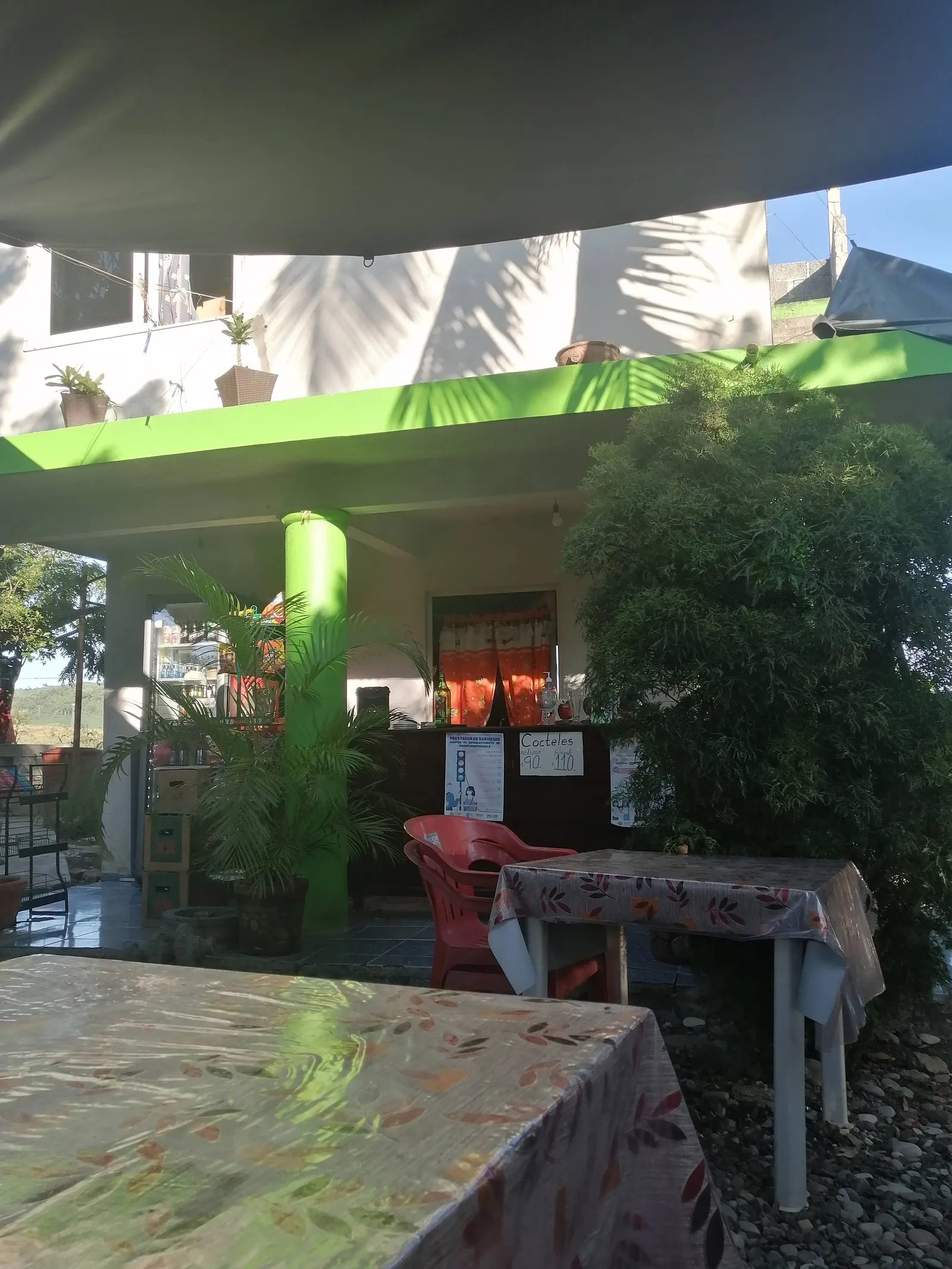 Rincón papanteco image 6