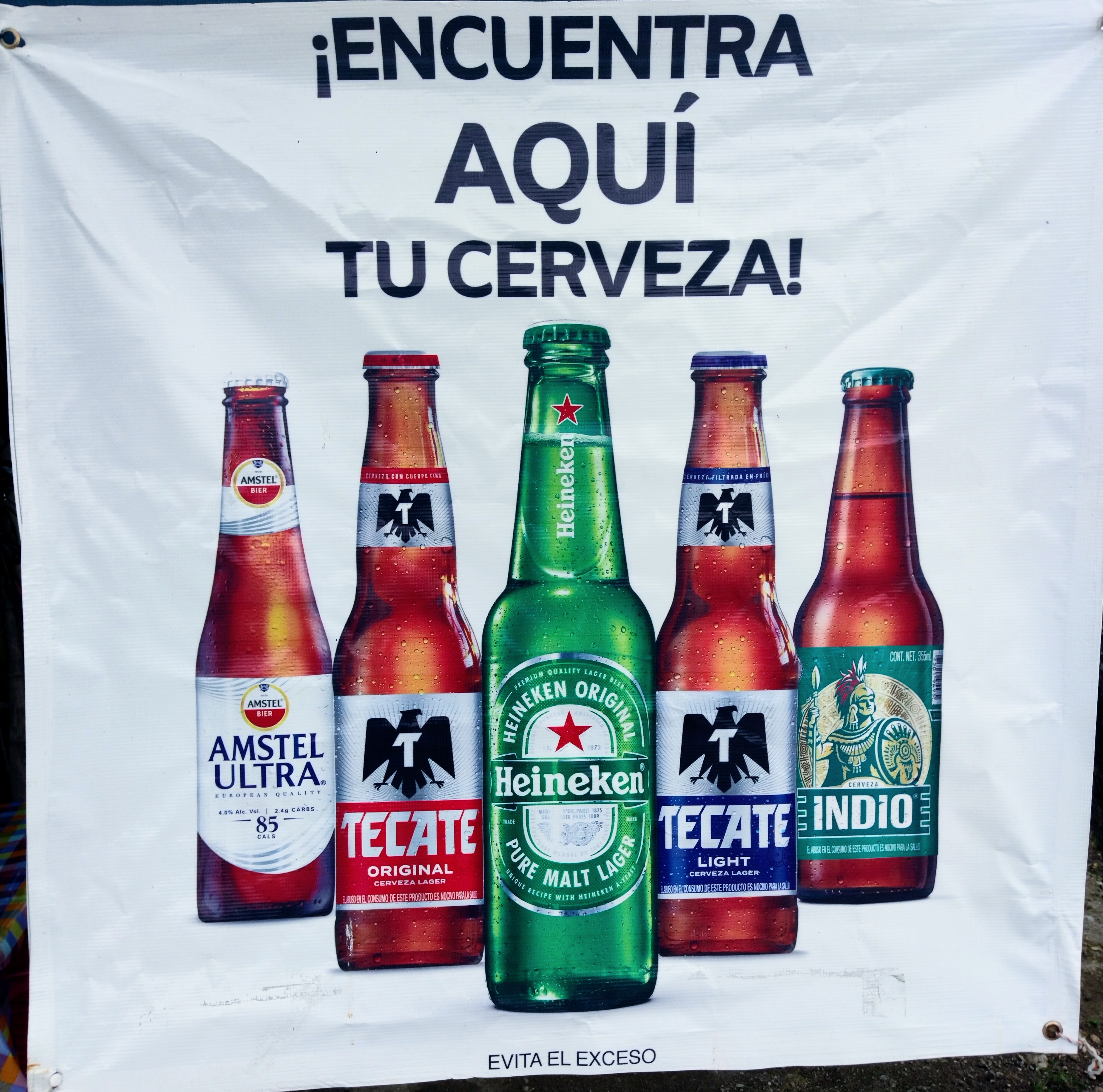 Rincón papanteco image 7