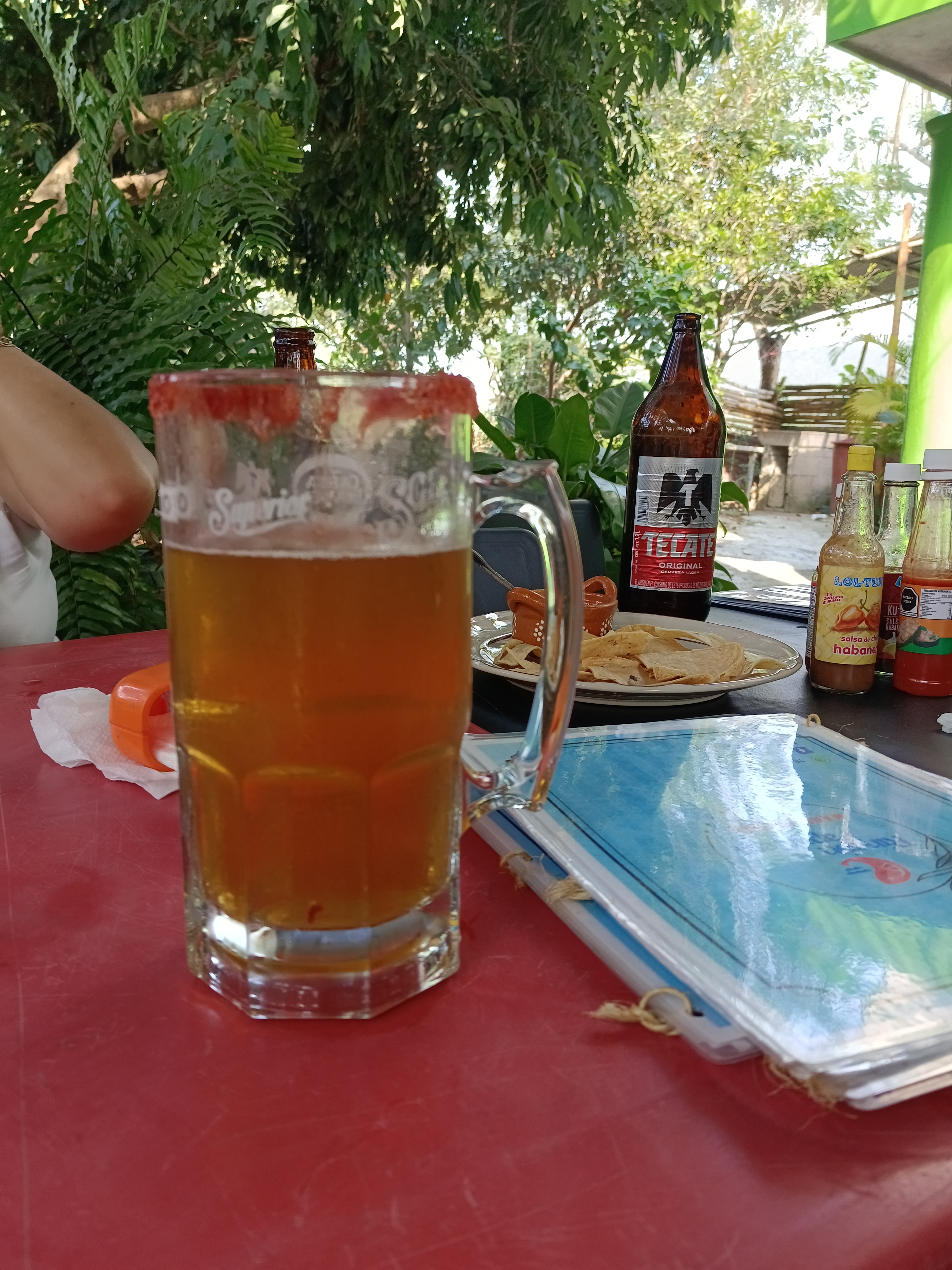 Rincón papanteco image 8