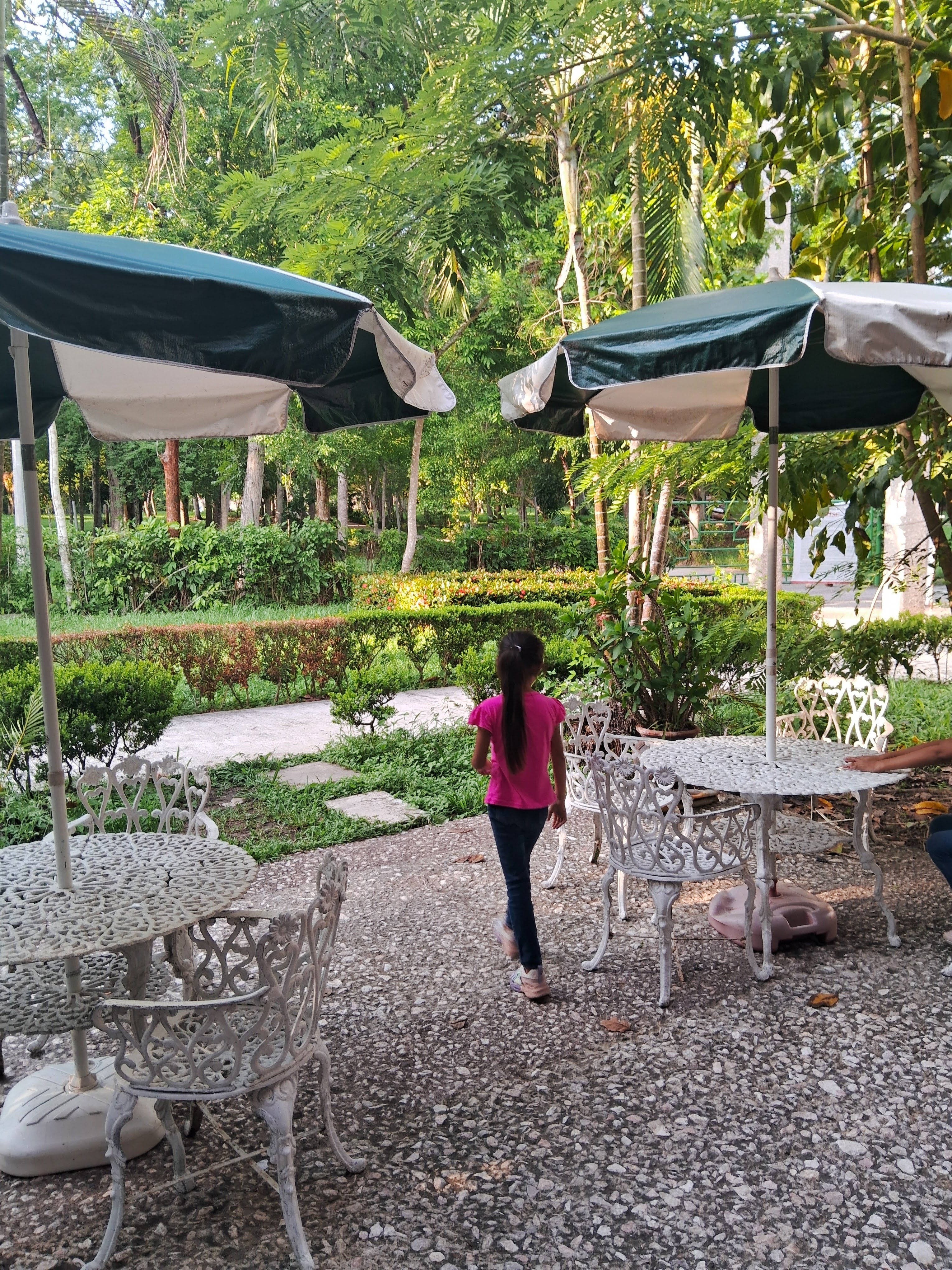 Restaurante El Tajín image 8