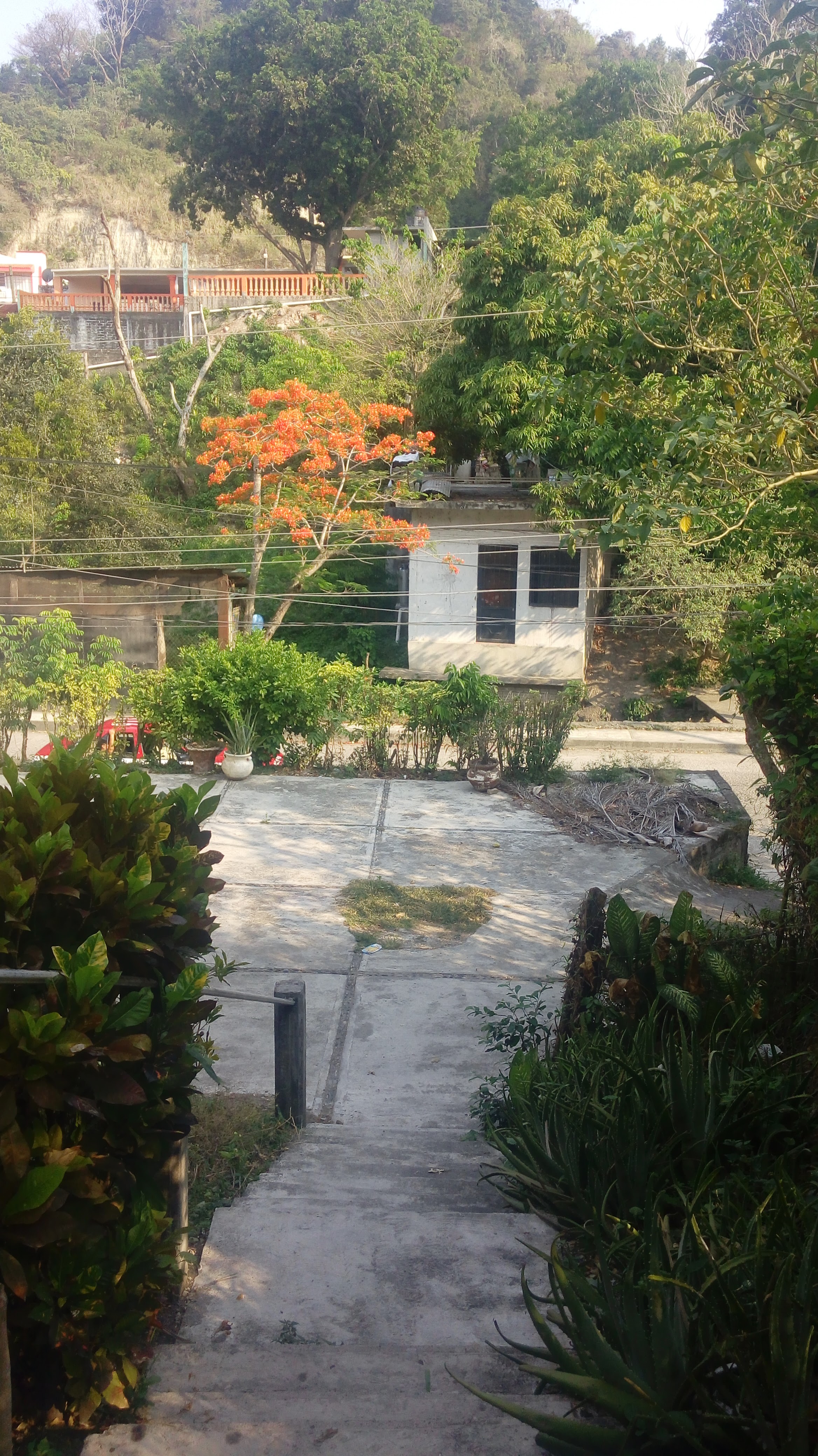 Spinka Burguer image 3