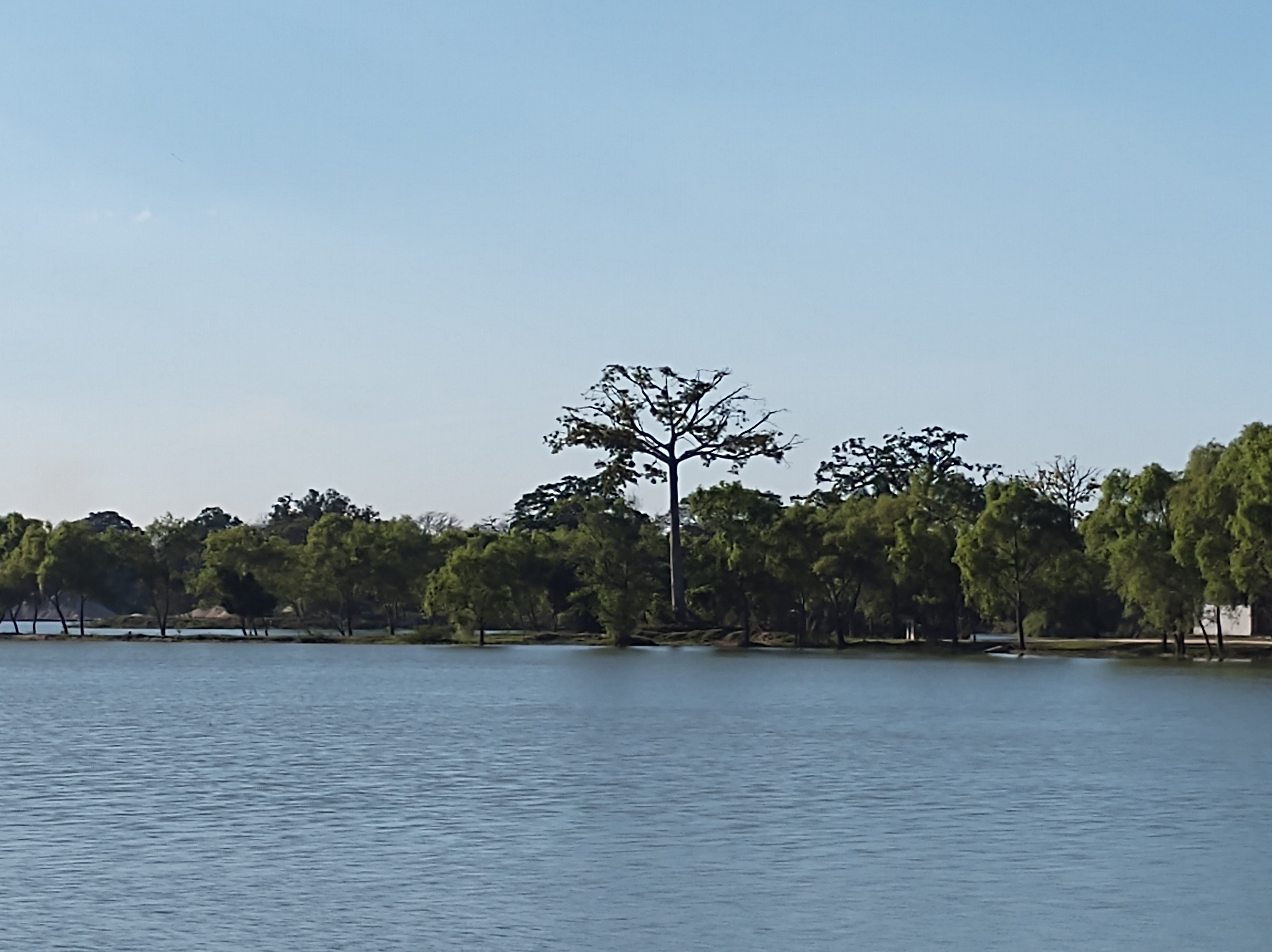 Restaurante El Sayab image 3