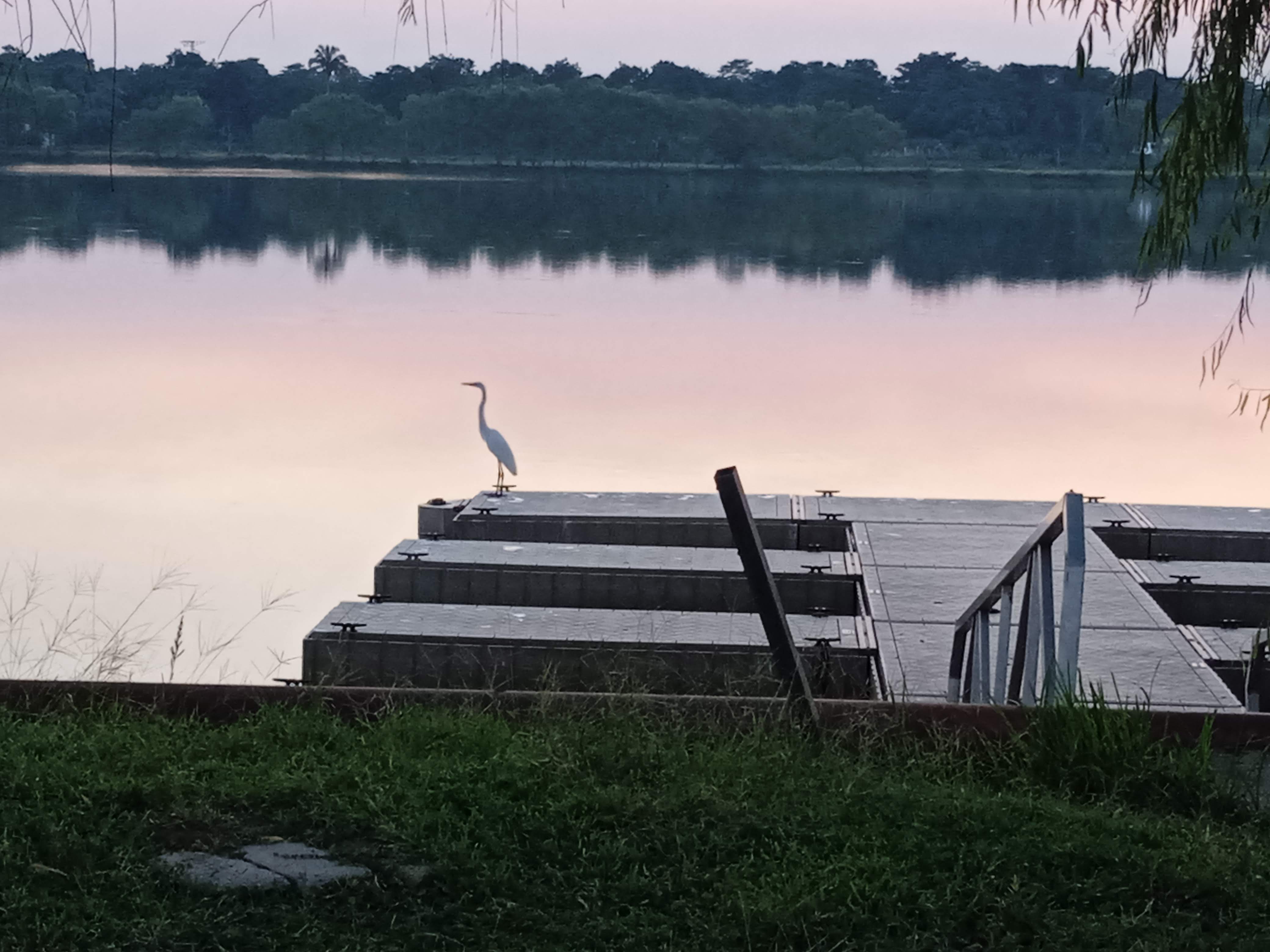 Restaurante El Sayab image 6