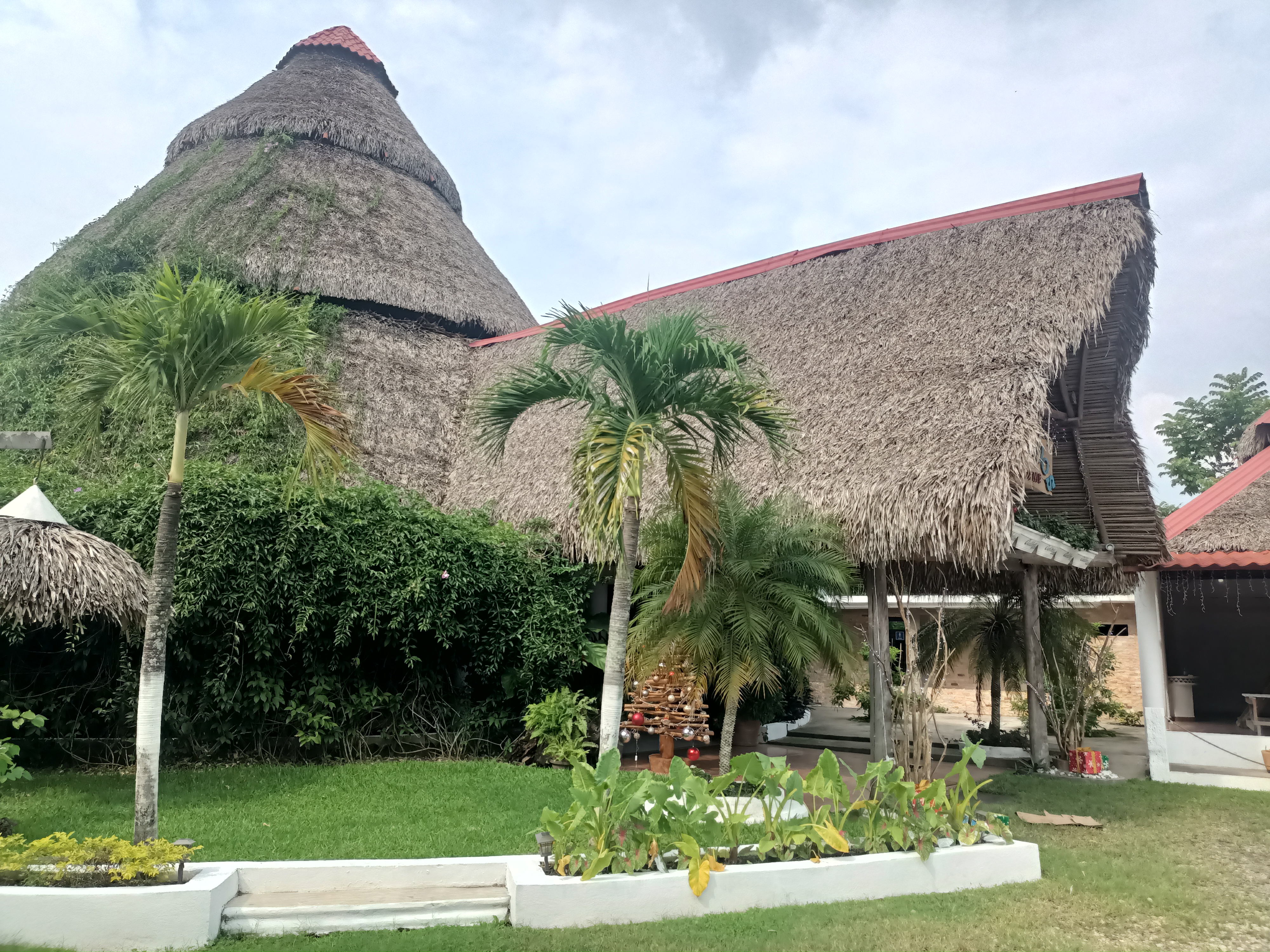Cielito Lindo Family Restaurant image 2