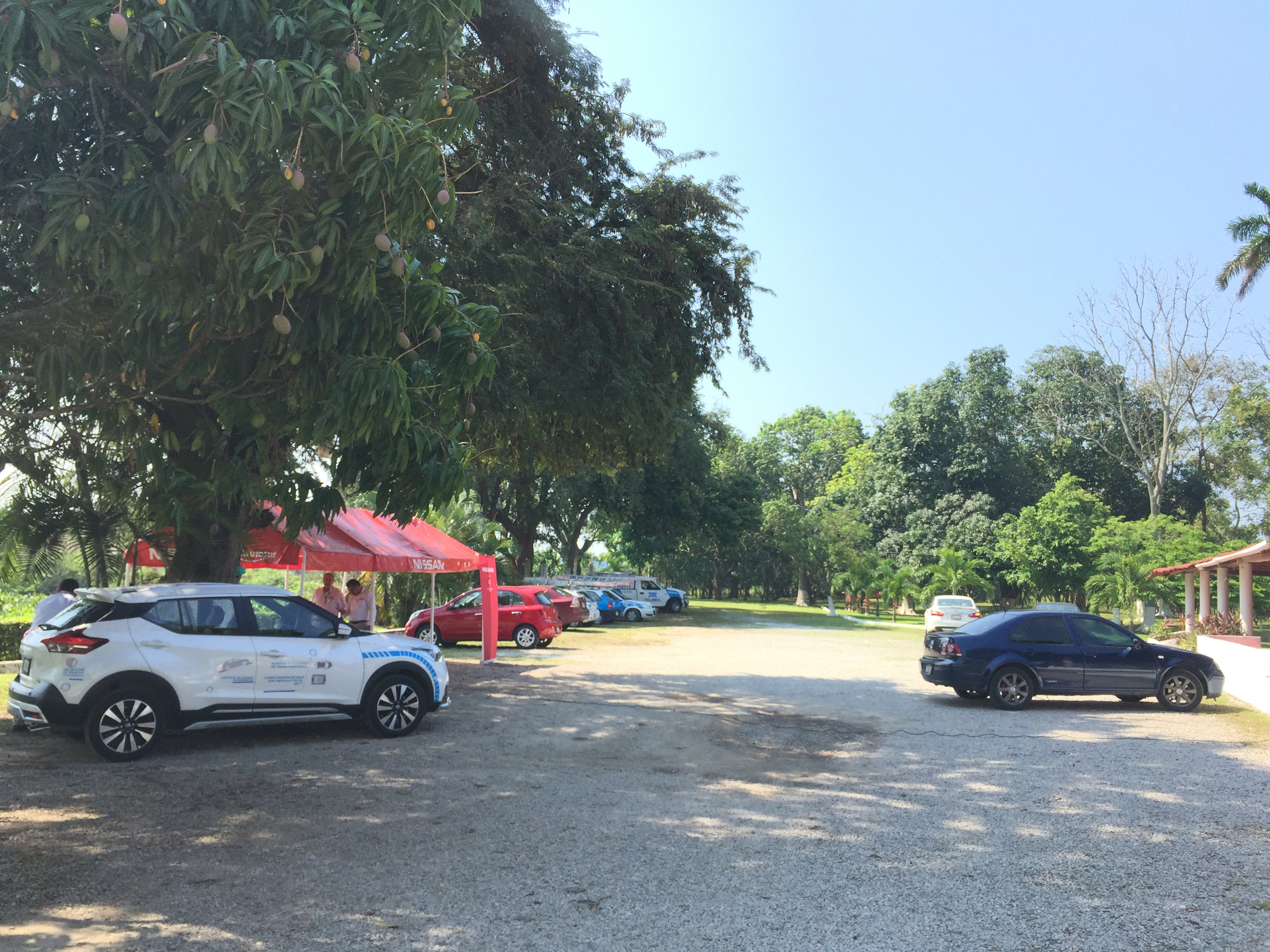 Restaurant Las Delicias image 7