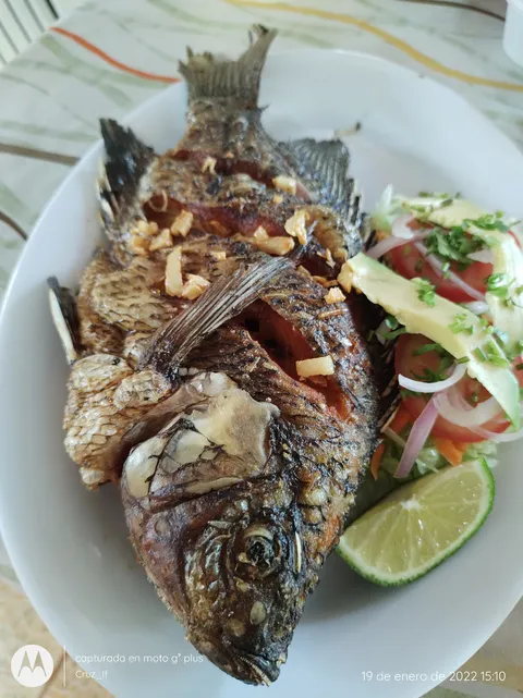 Restaurante la Caracola image 4