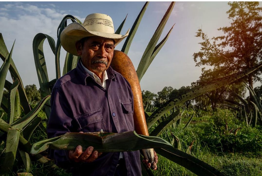 Pulque De Reyes image 3