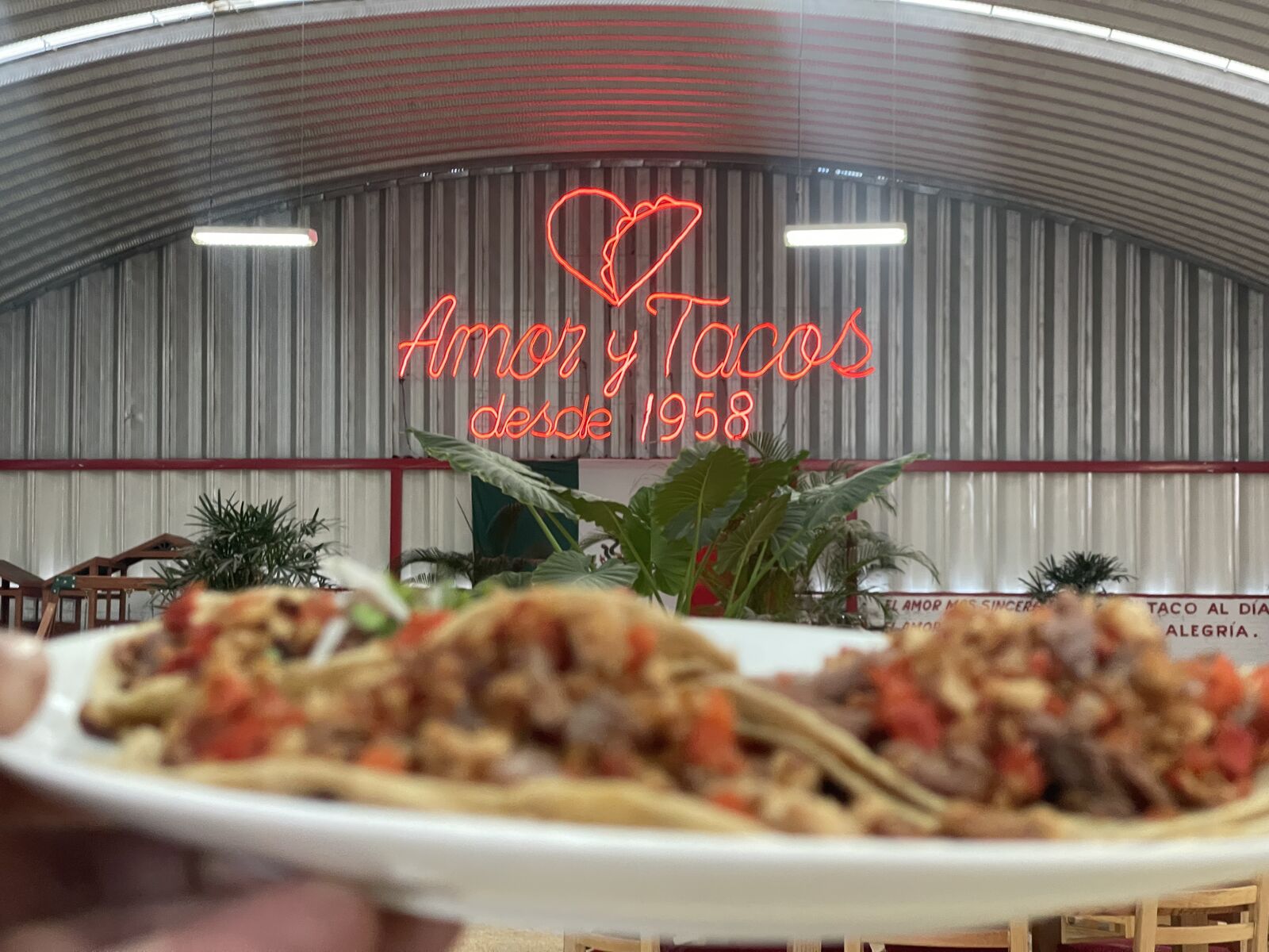 Amor y Tacos desde 1958 image 9