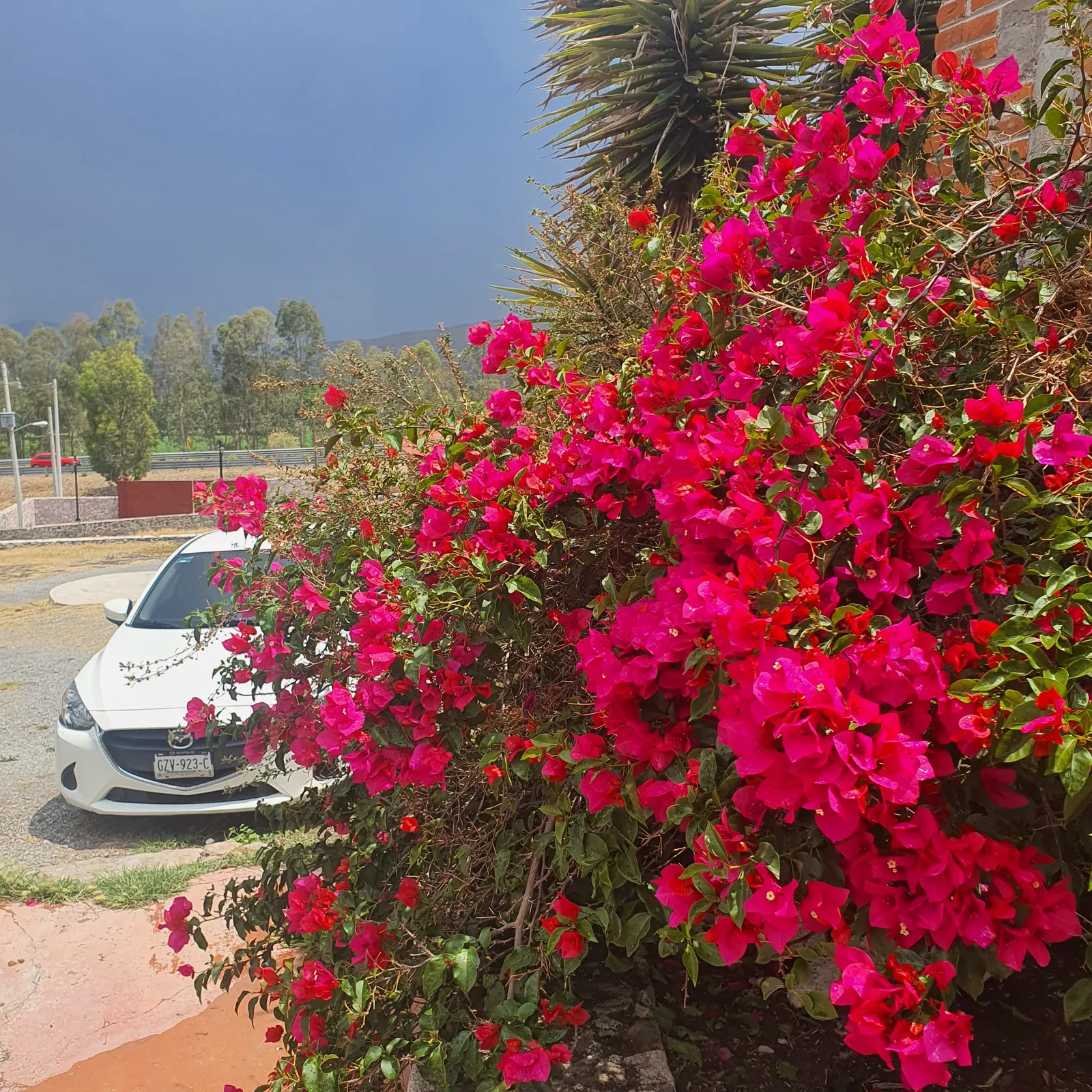 Quinta Mega image 9