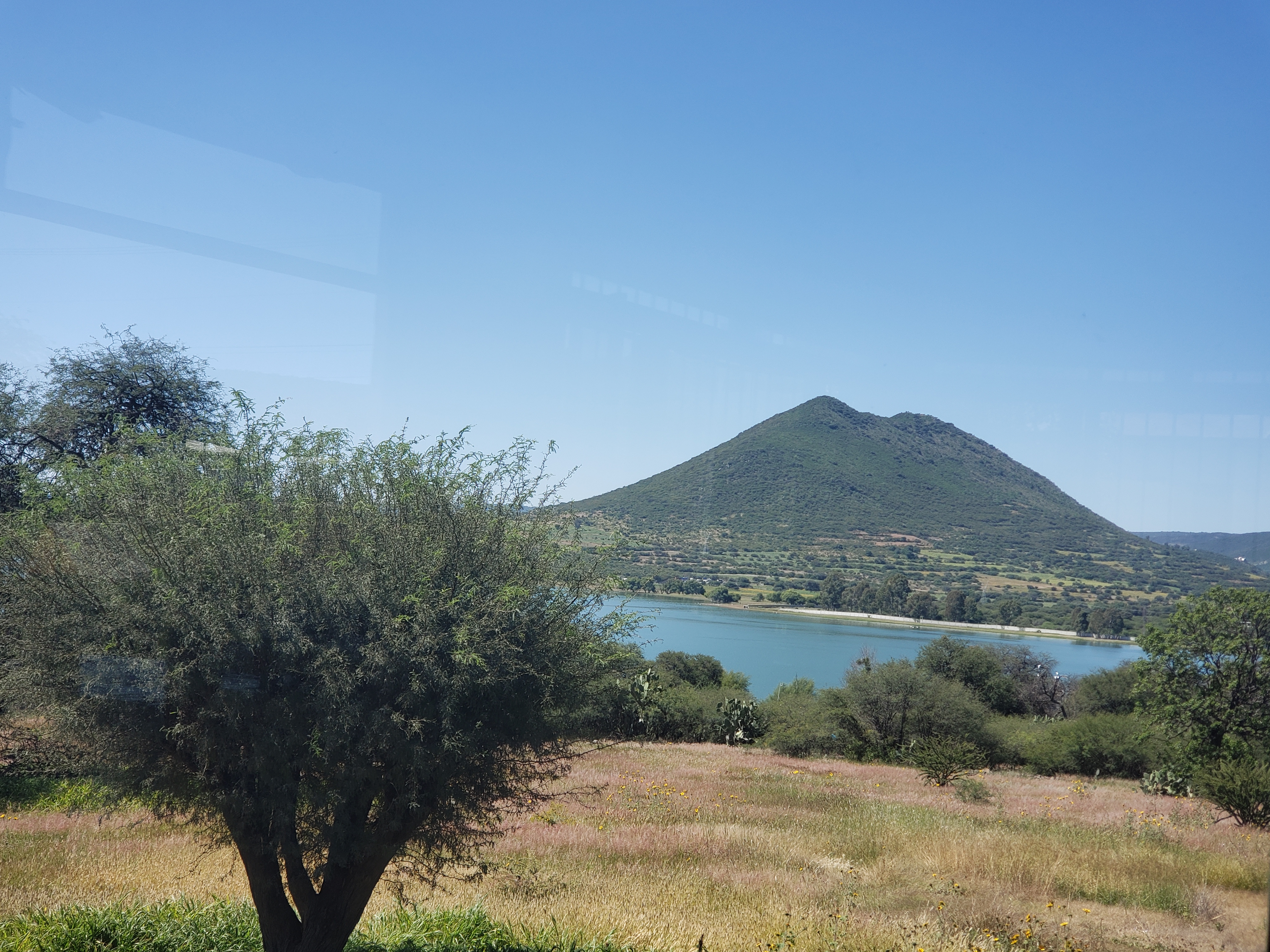 Tecalli molli image 9