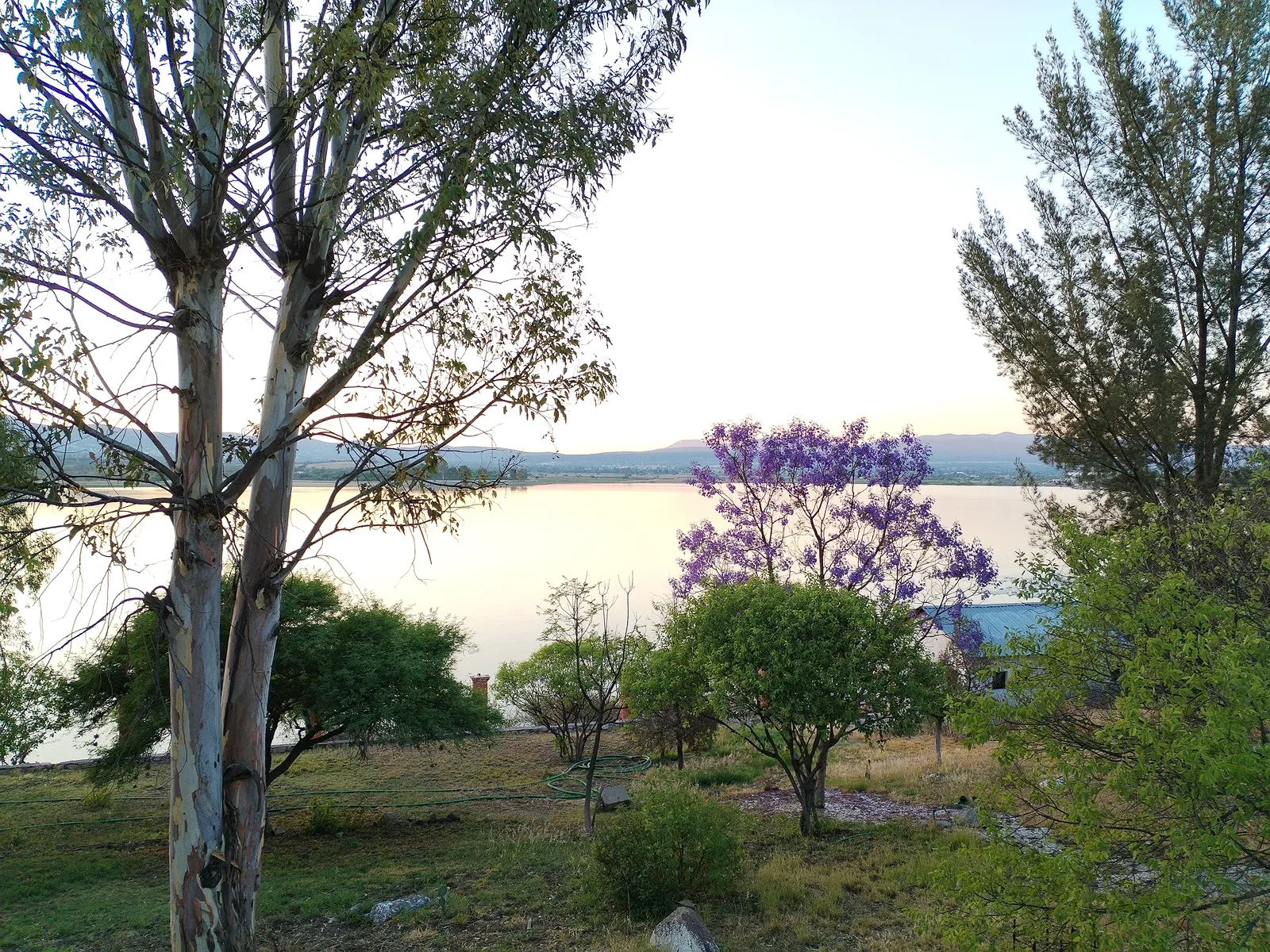 Trattoria del lago image 9