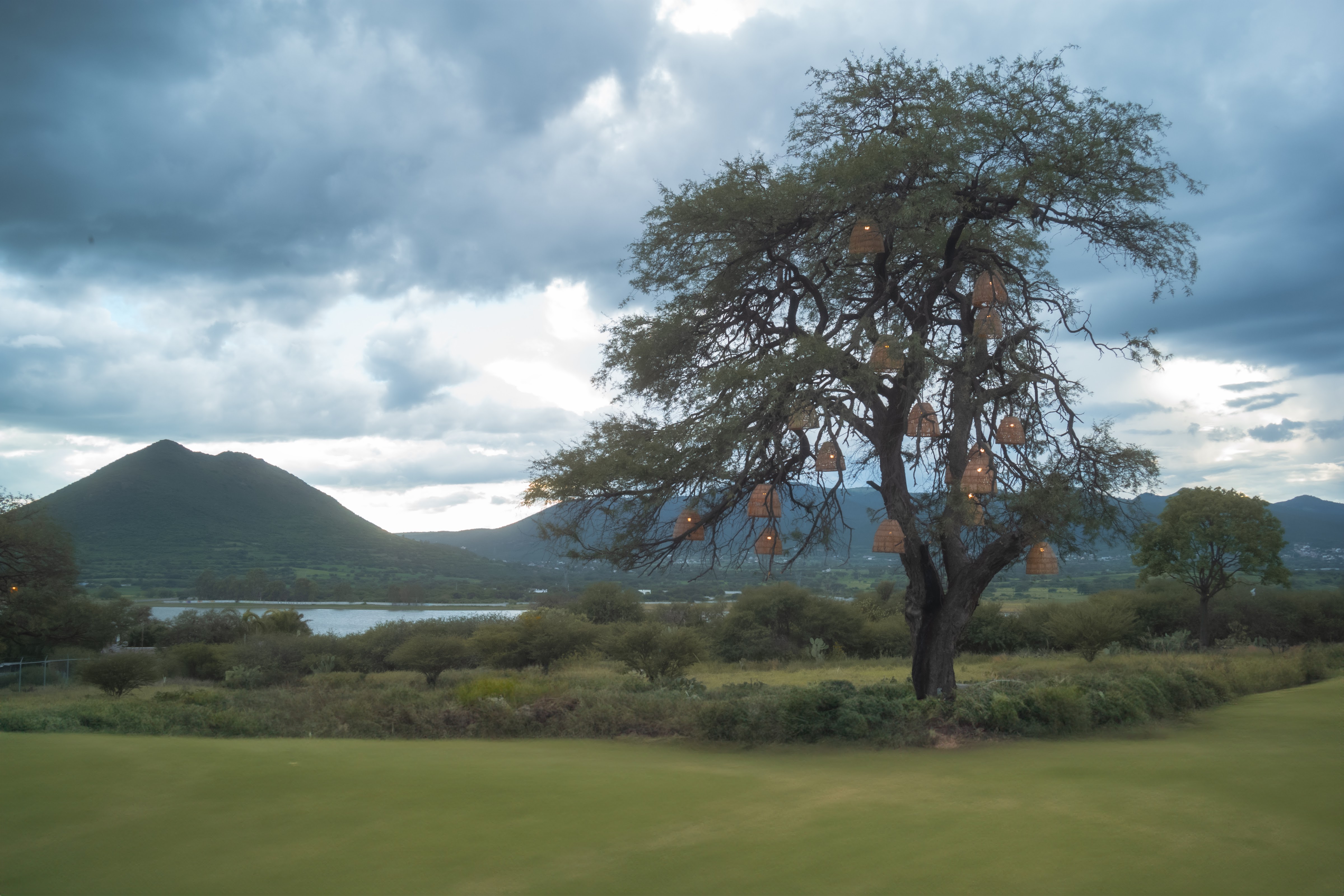 La casa del Mole image 5