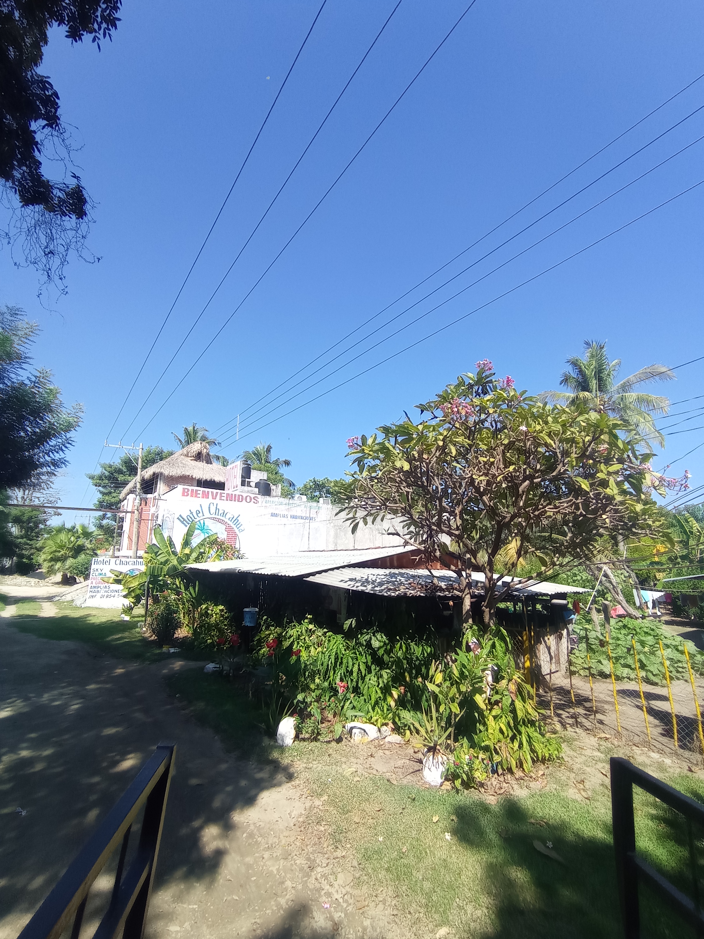 Cocina Economica Y Antojitos Regionales Juquilita image 3