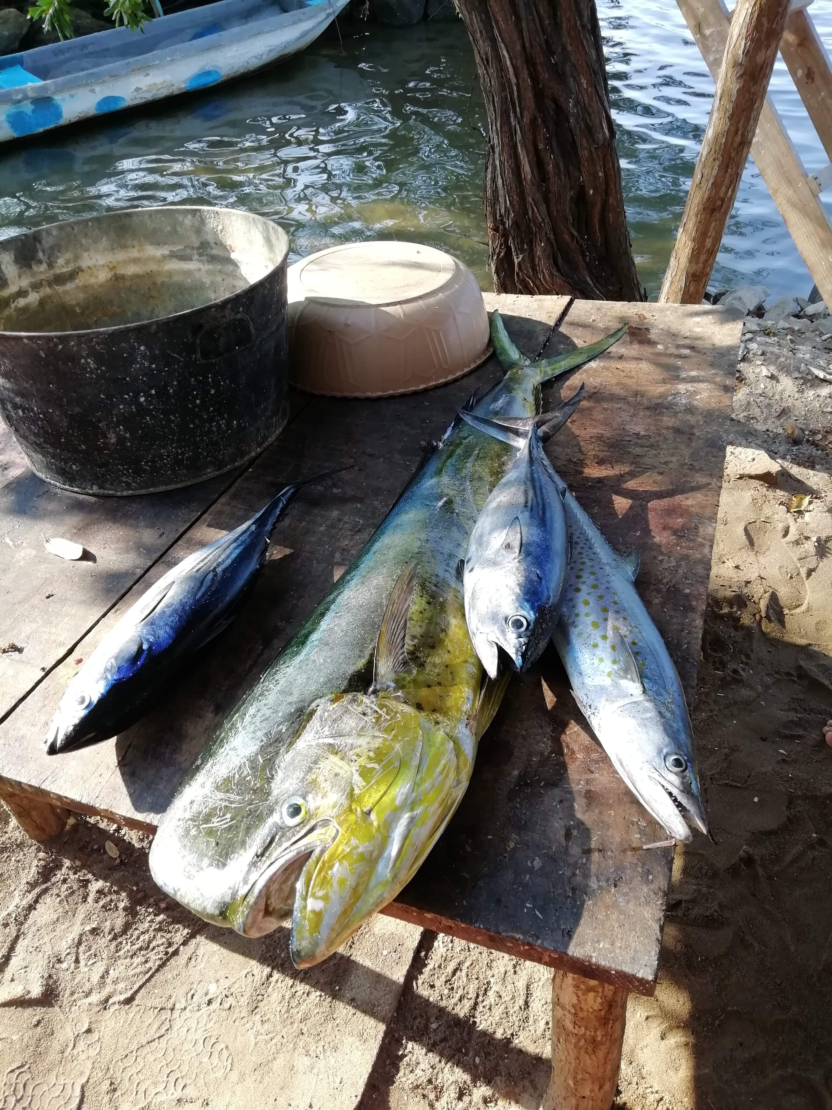 Hotel & Restaurant Isahmar image 2