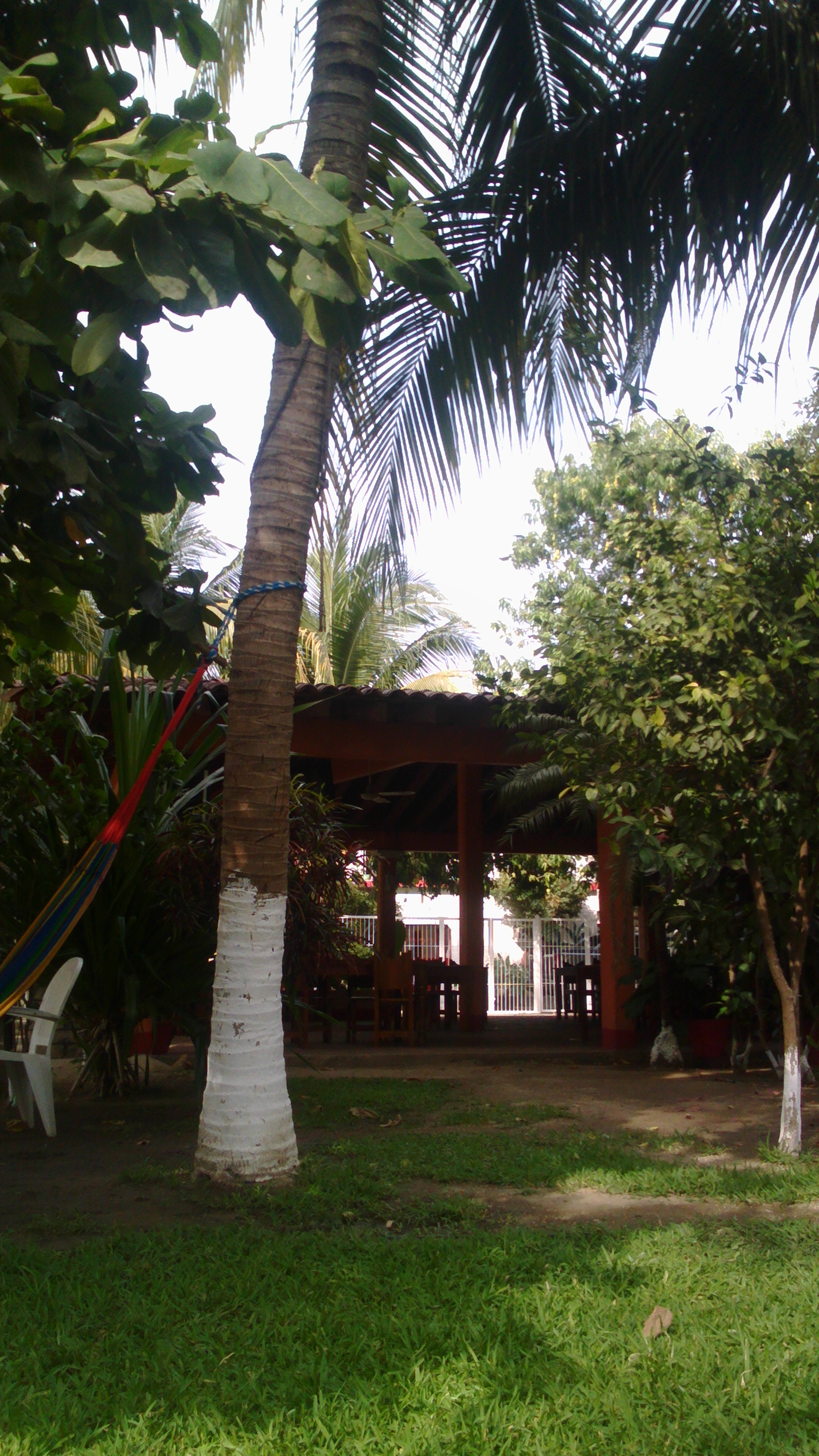 Hotel Restaurant Las Palmas image 1