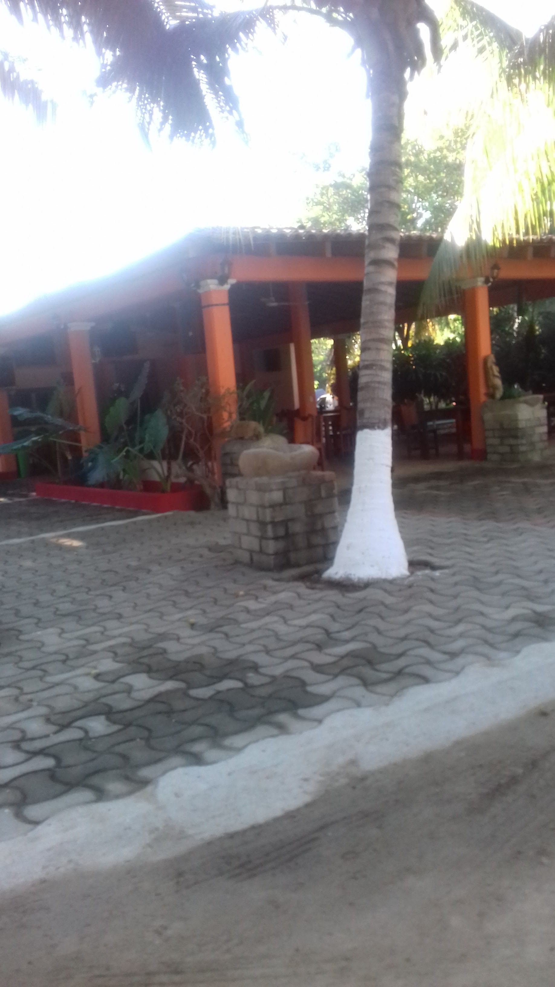 Hotel Restaurant Las Palmas image 5