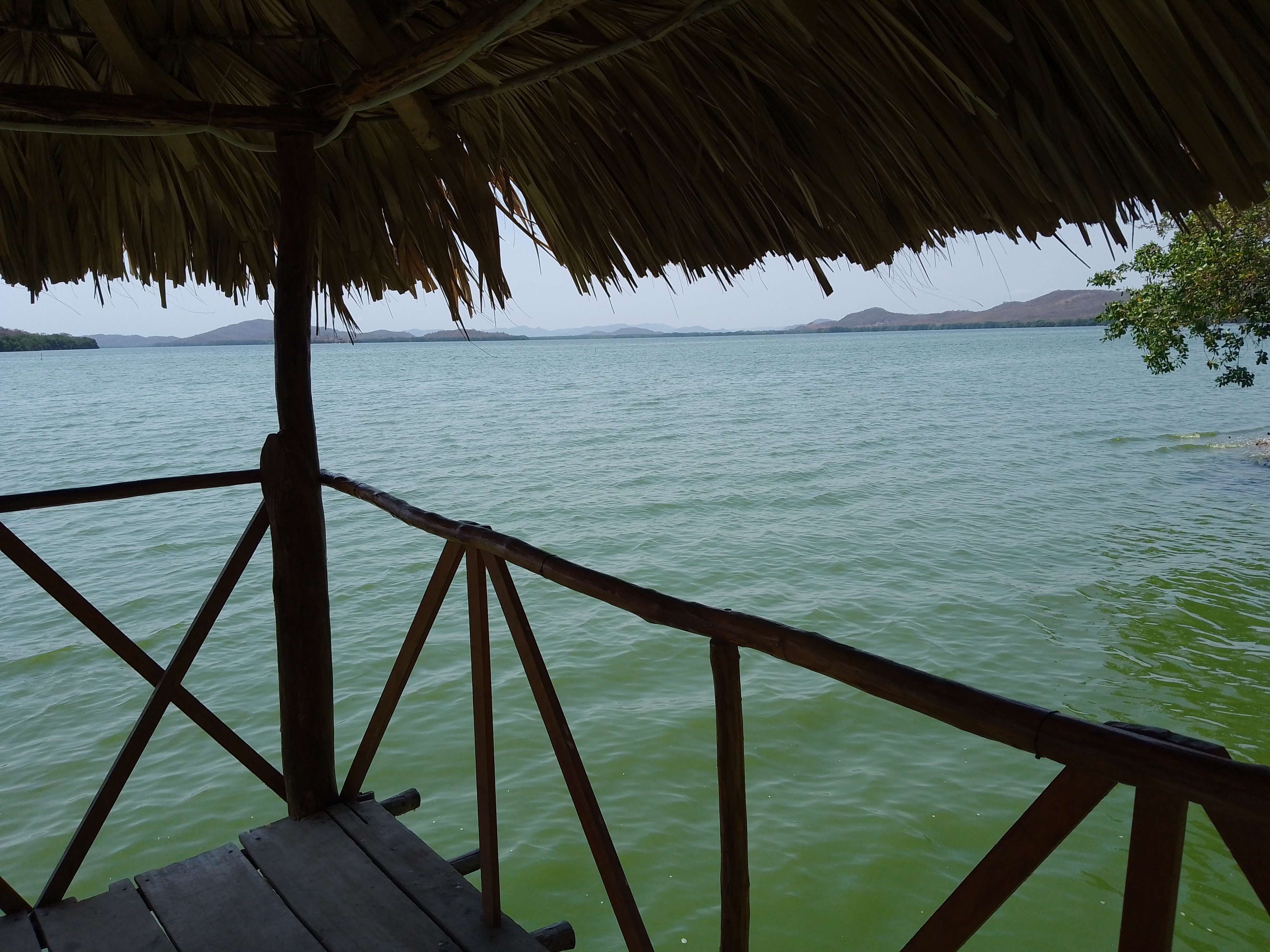 Restaurante Flor De Dalia image 7