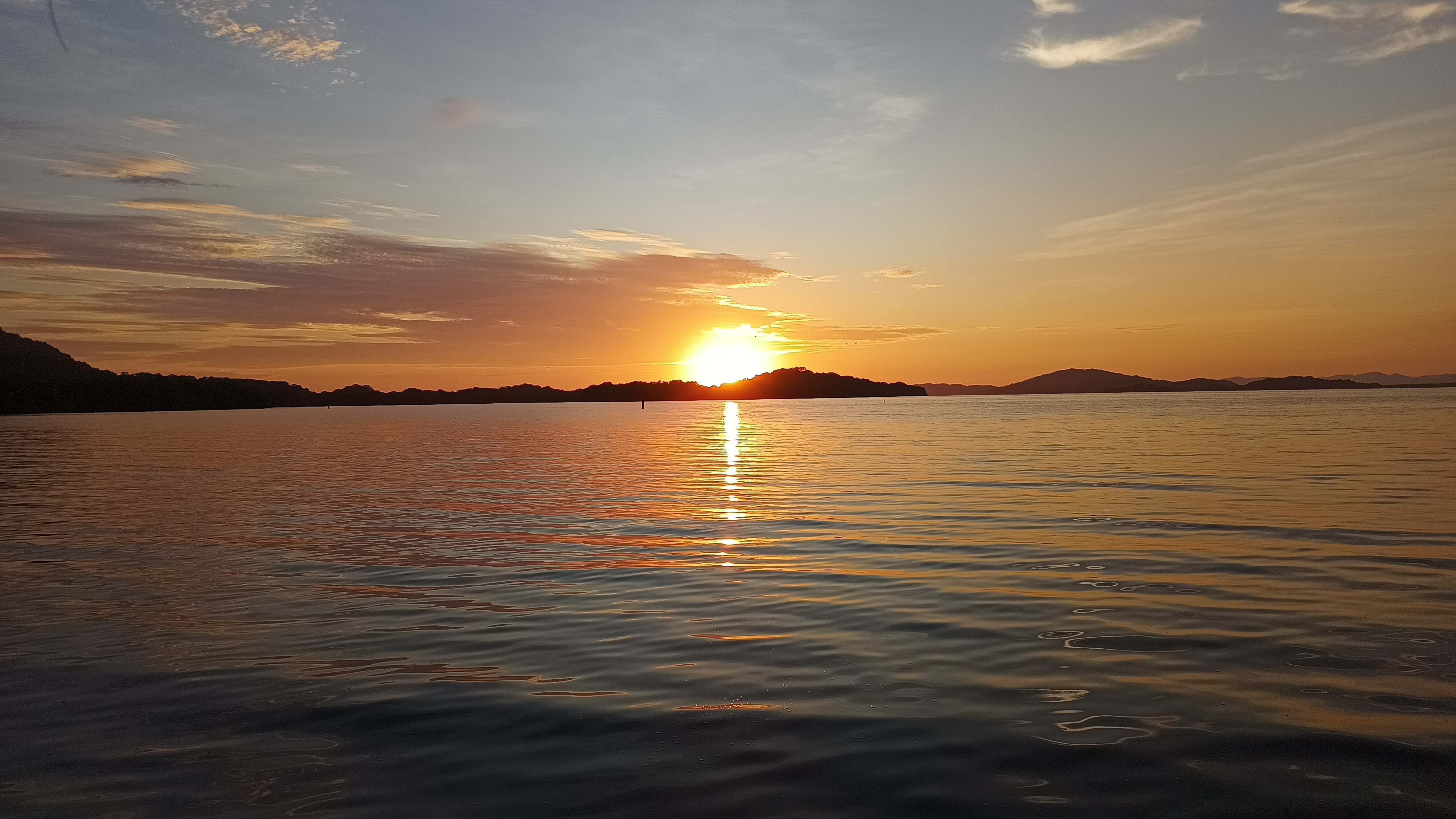 Restaurante Flor De Dalia image 8