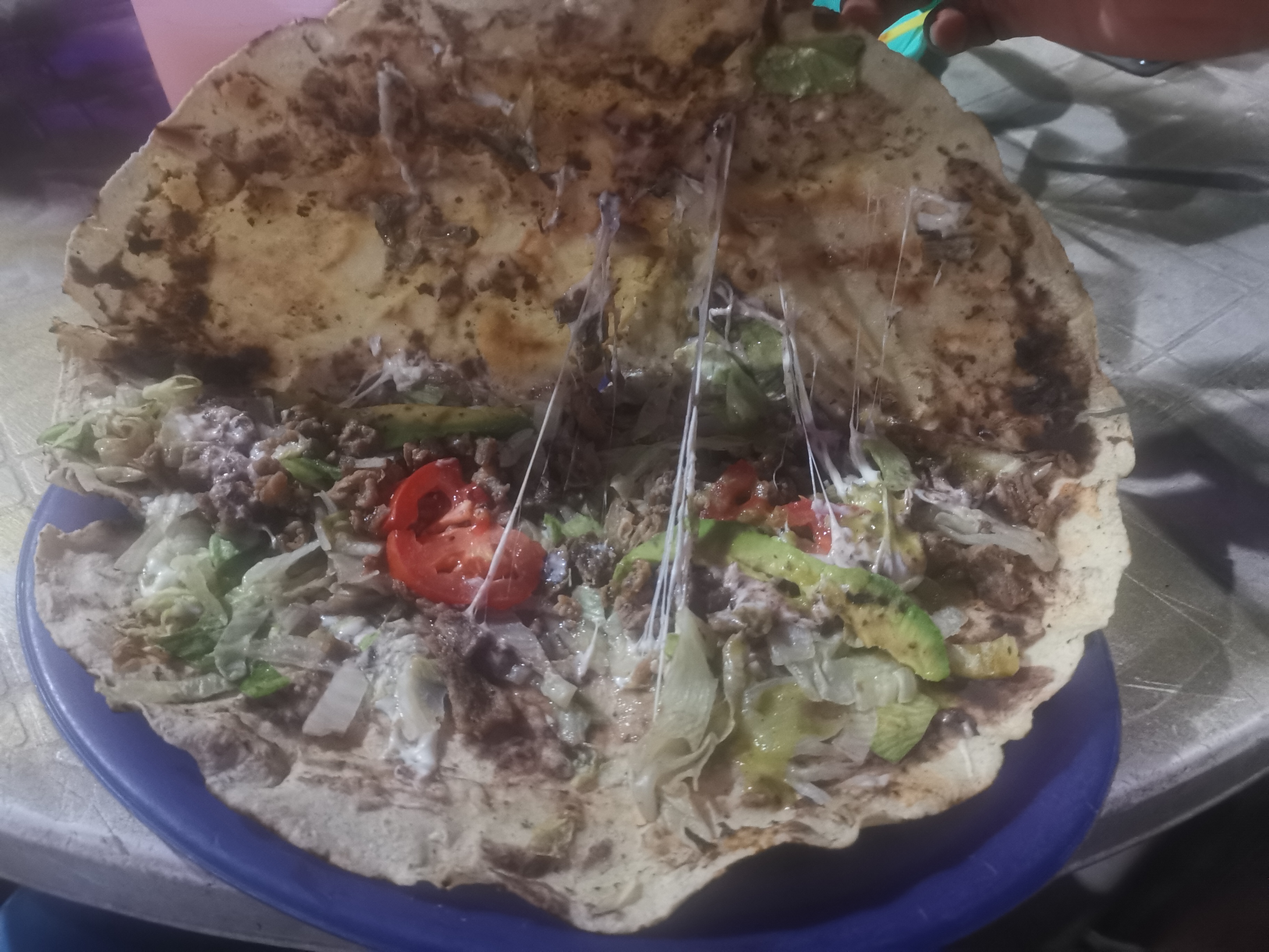 Huaracheria MAGUI image 1