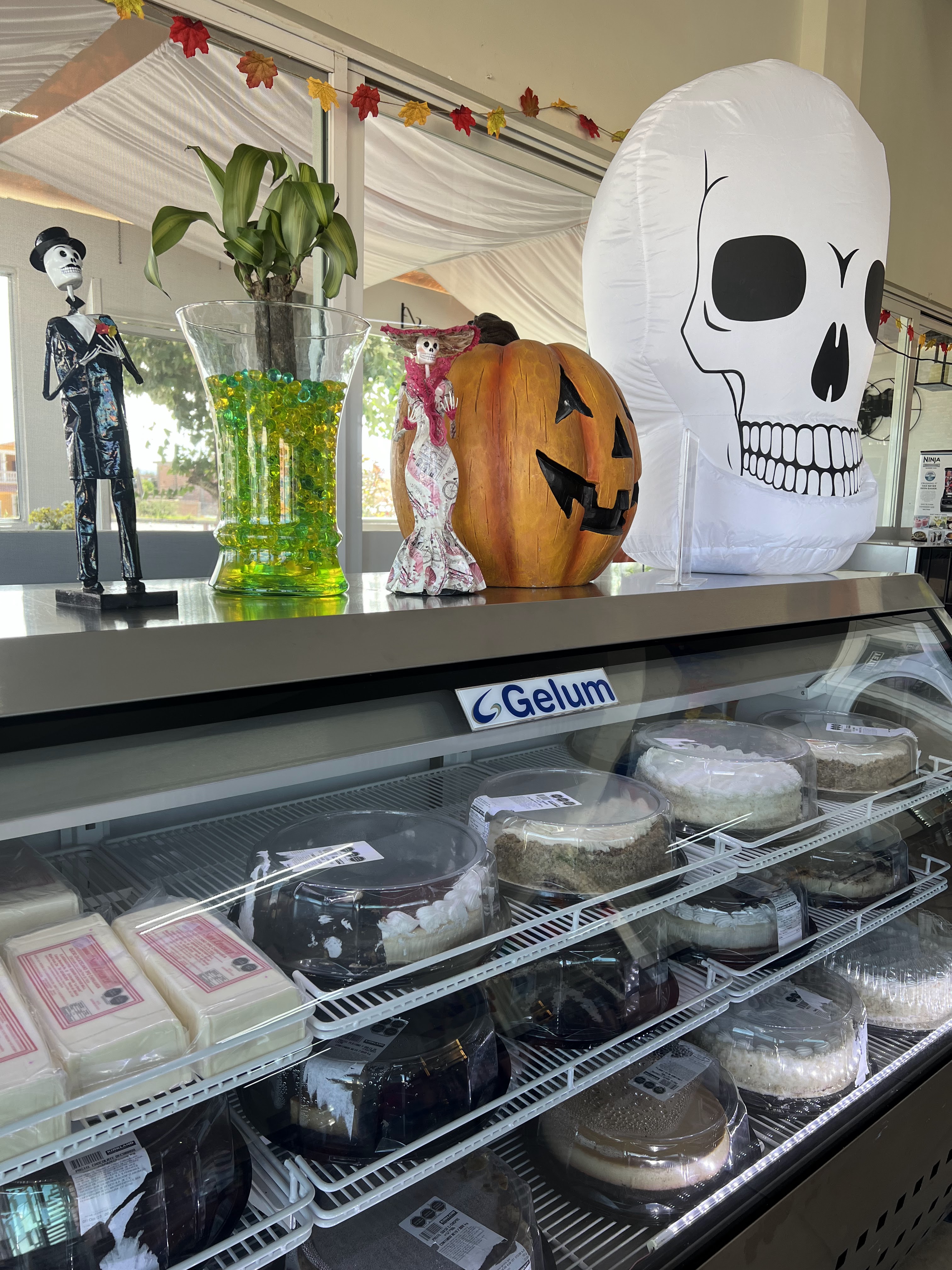 Restaurant BLAYAR image 6