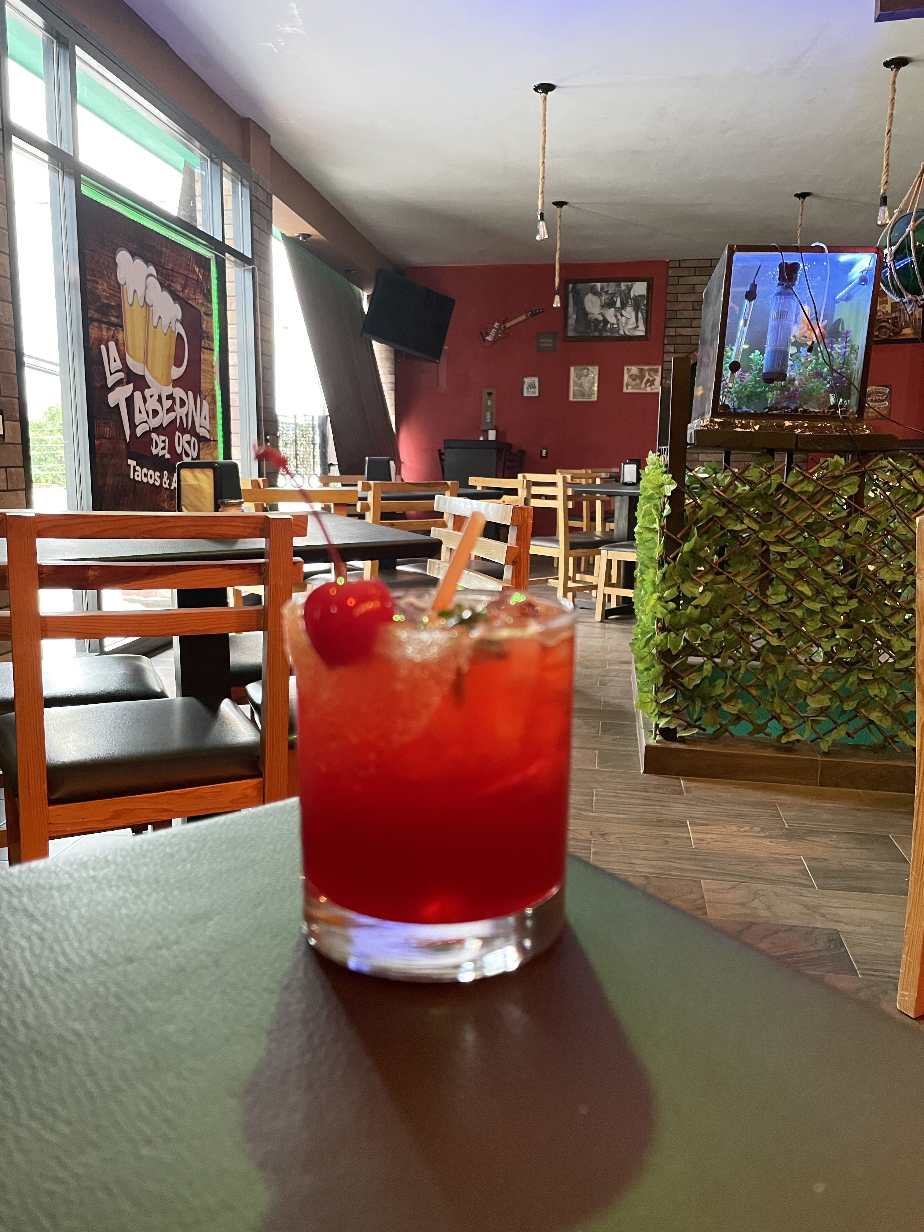 La Taberna Del Oso Bar image 2