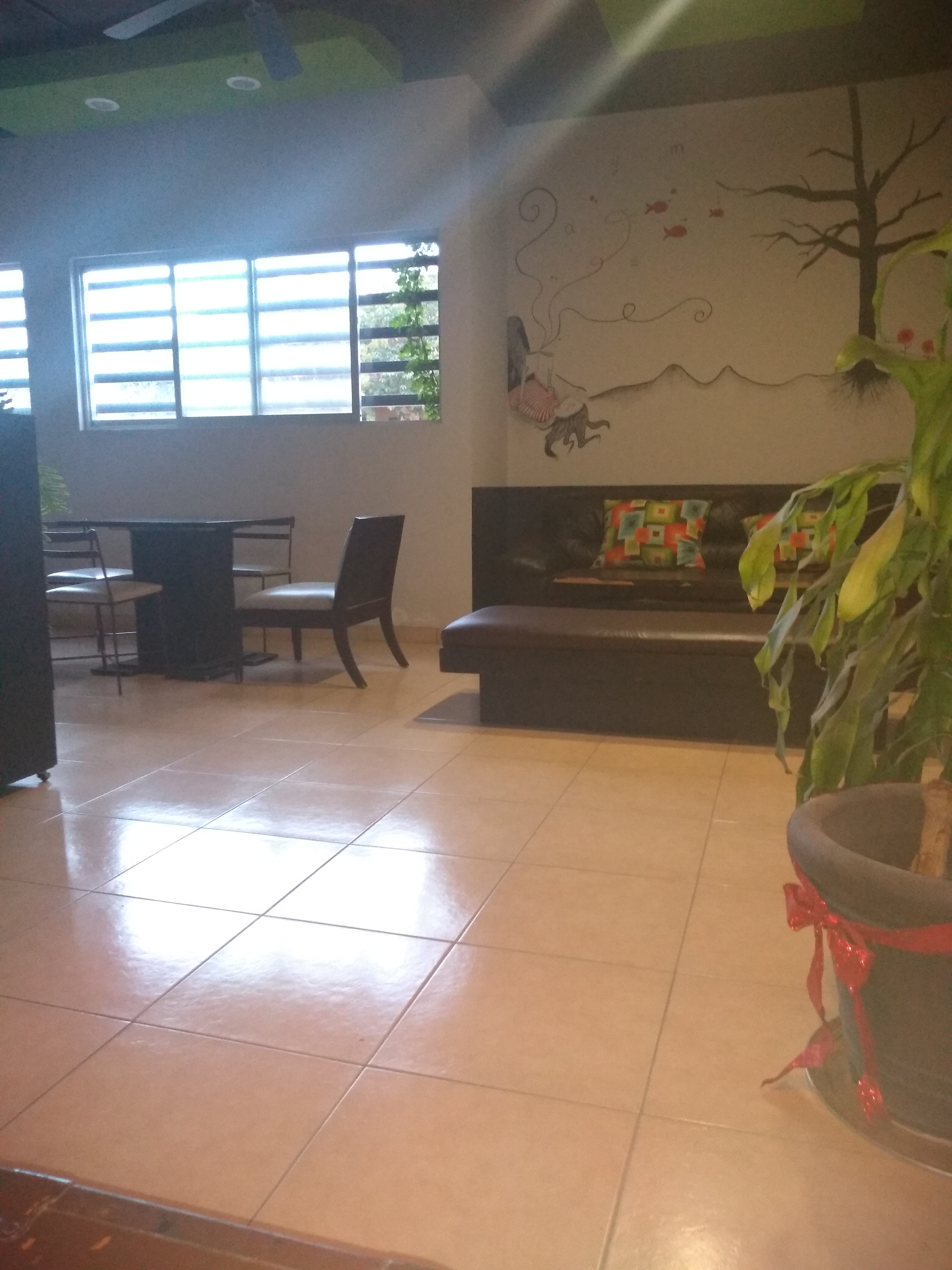 Chaan Sushi & Cafe image 10