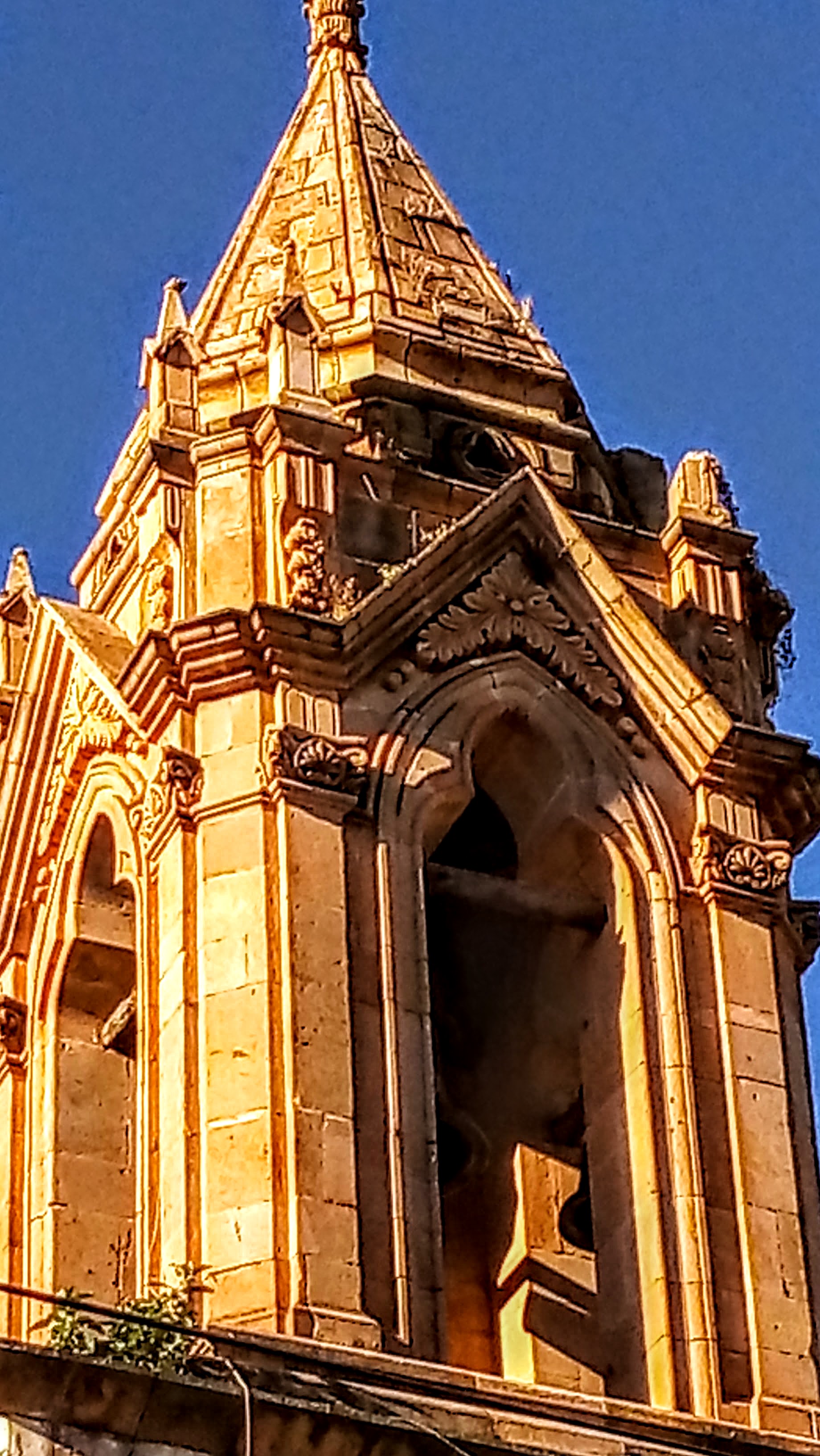 Restaurant La Mina de Oro image 10