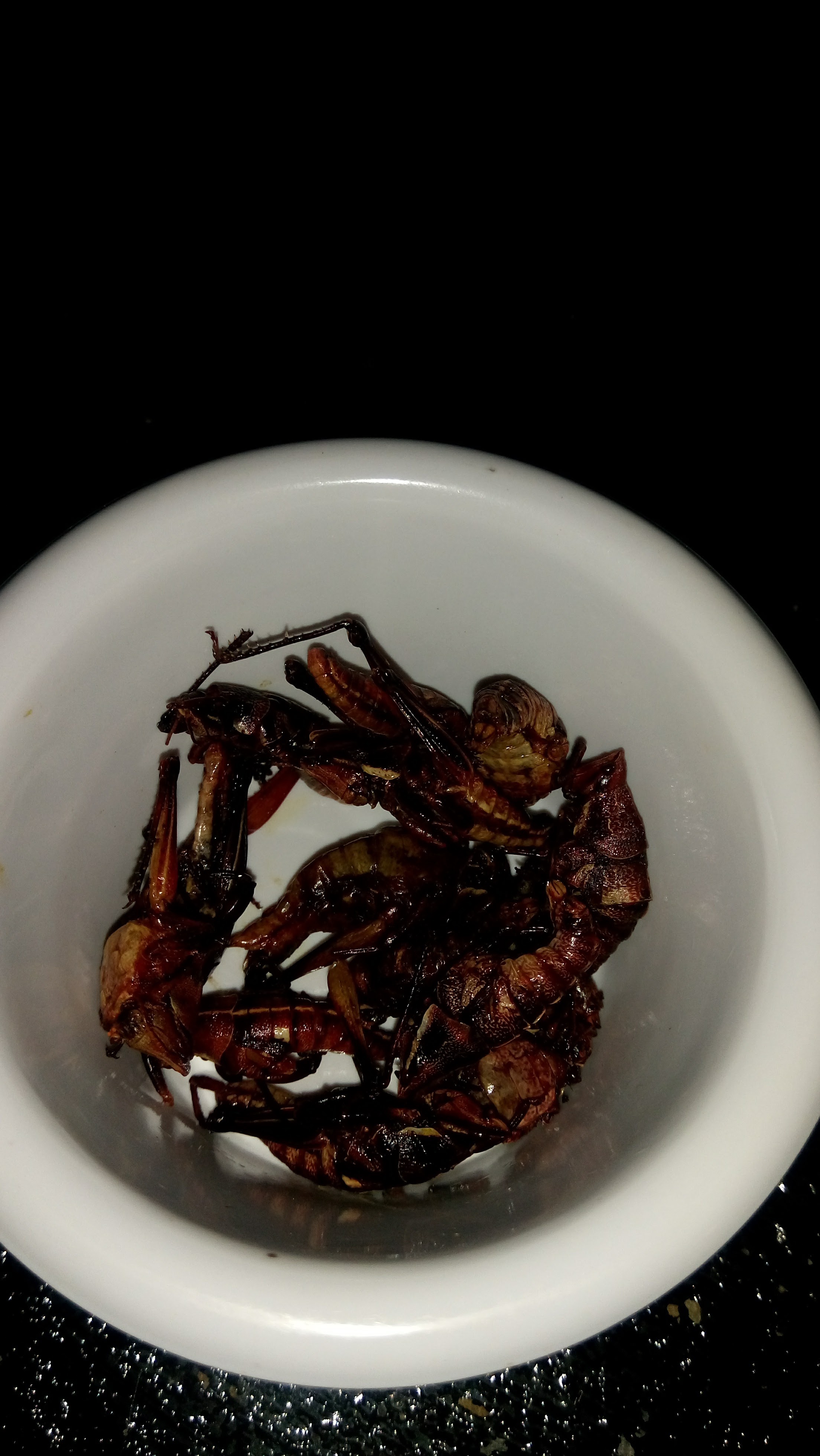 LAS PALAPAS RESTAURANT-BAR image 5