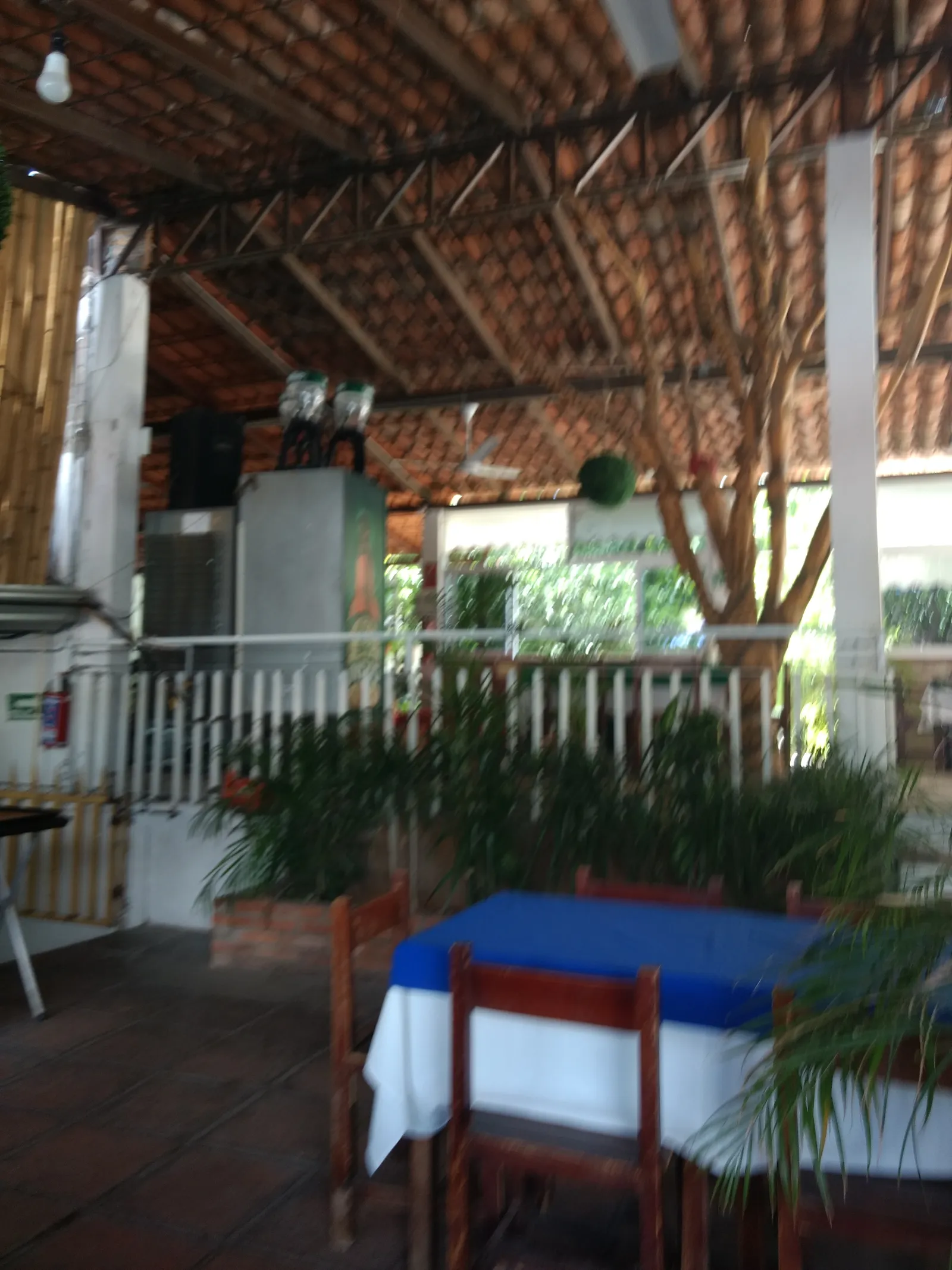 LAS PALAPAS RESTAURANT-BAR image 8