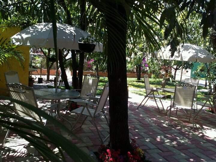 LAS PALAPAS RESTAURANT-BAR image 10