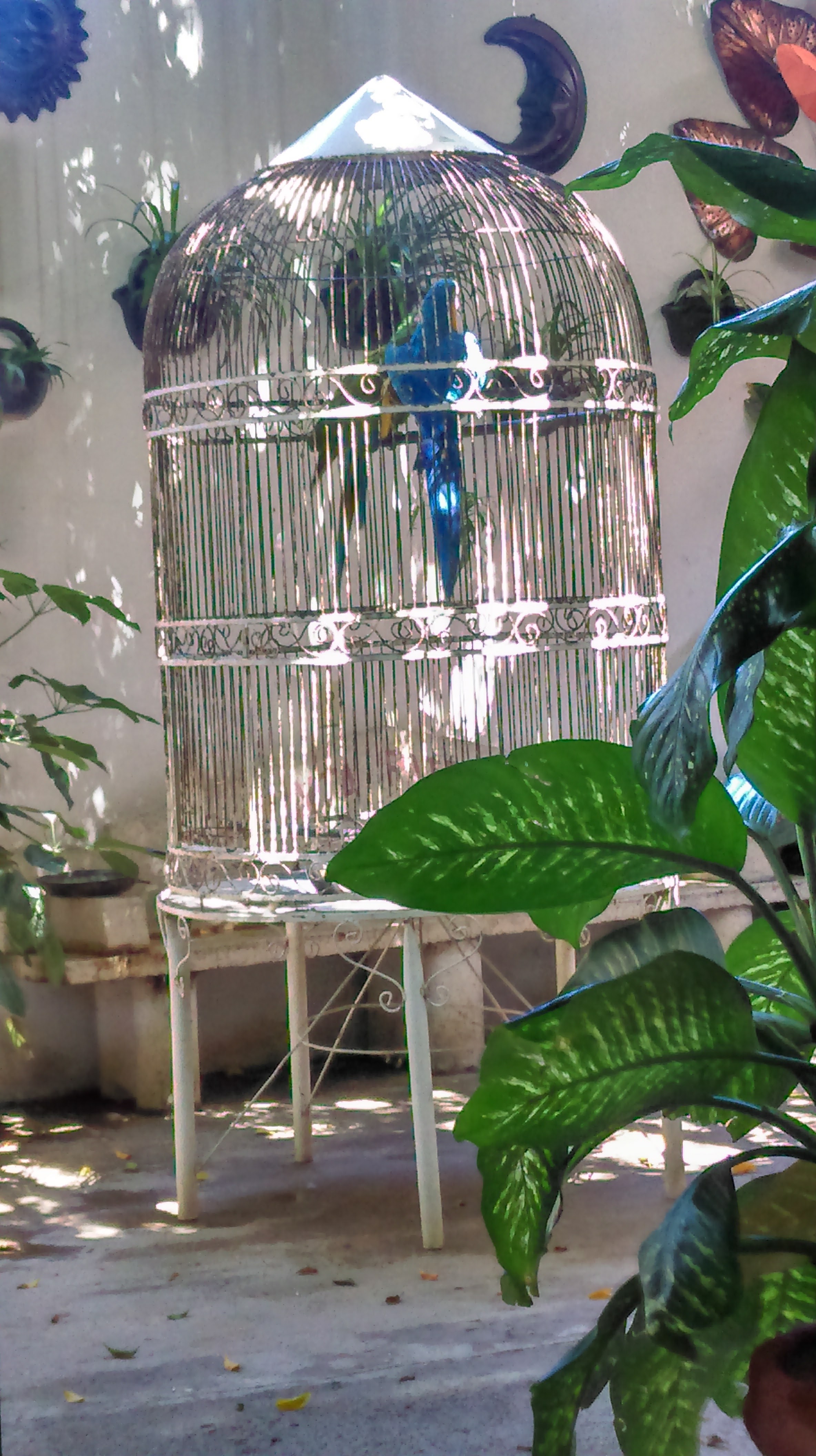 La Axuchilera Restaurante image 6