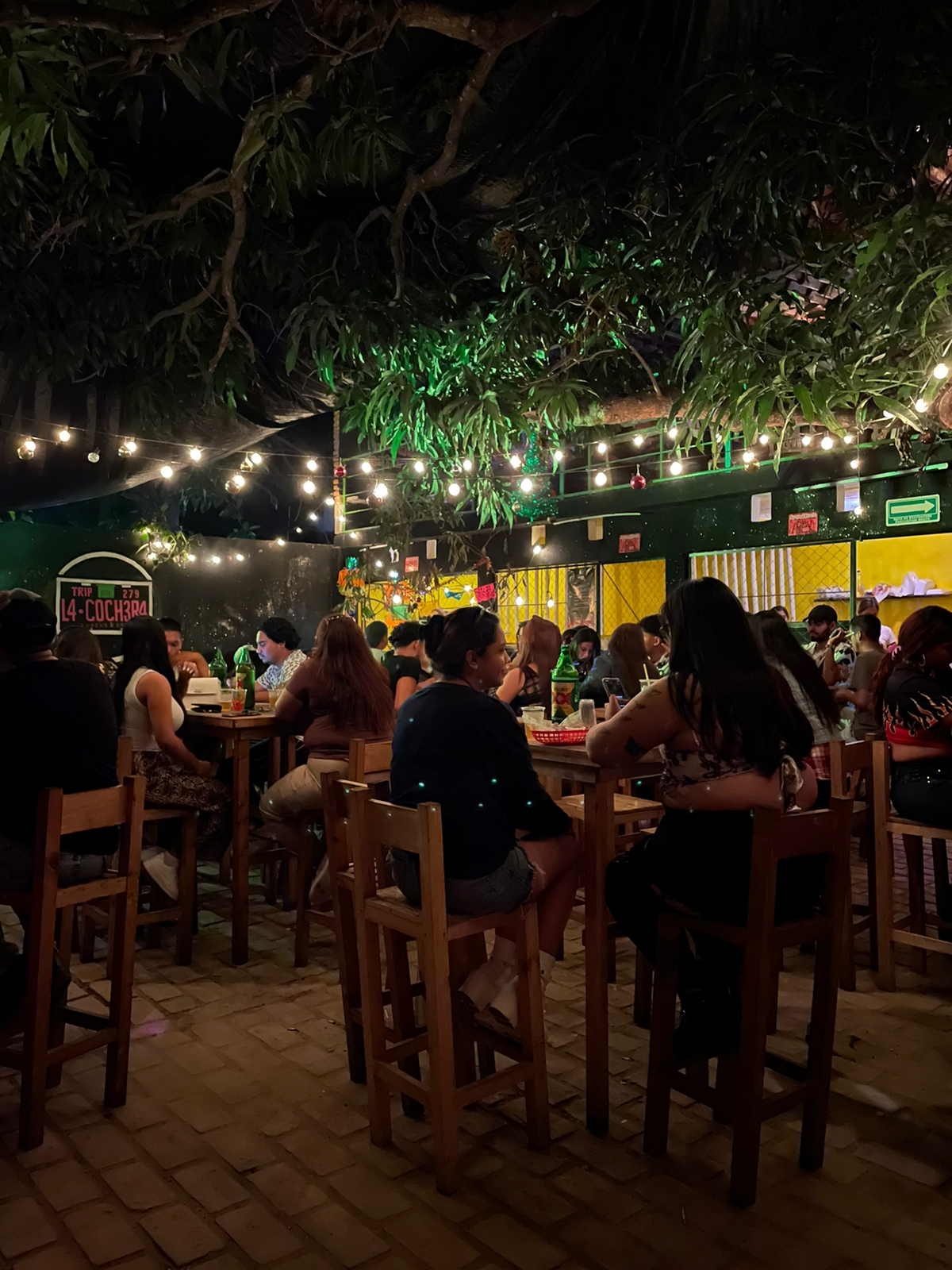 LA COCHERA trip image 1